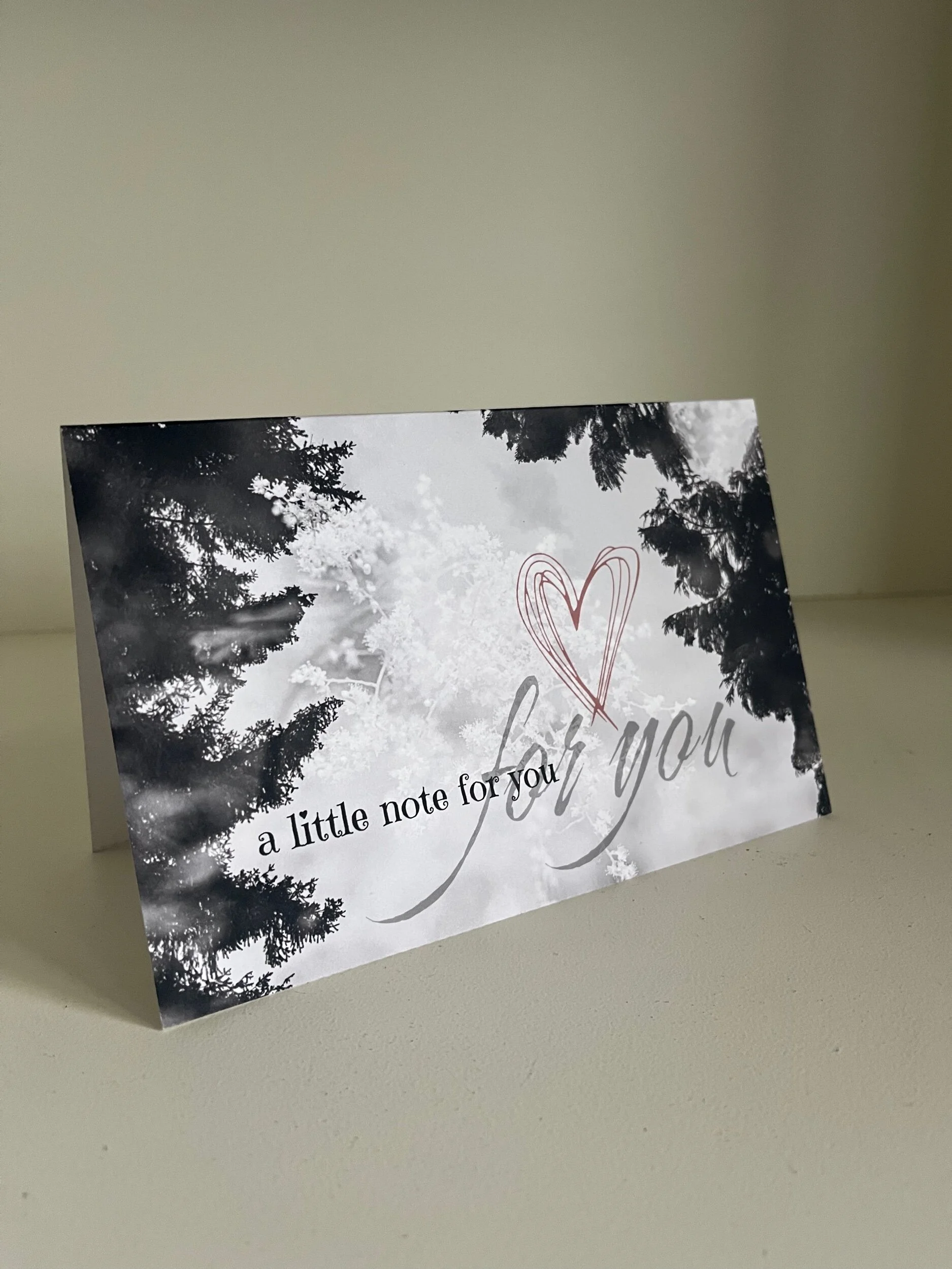 0065E555-C373-431D-89A5-8DFD98508217