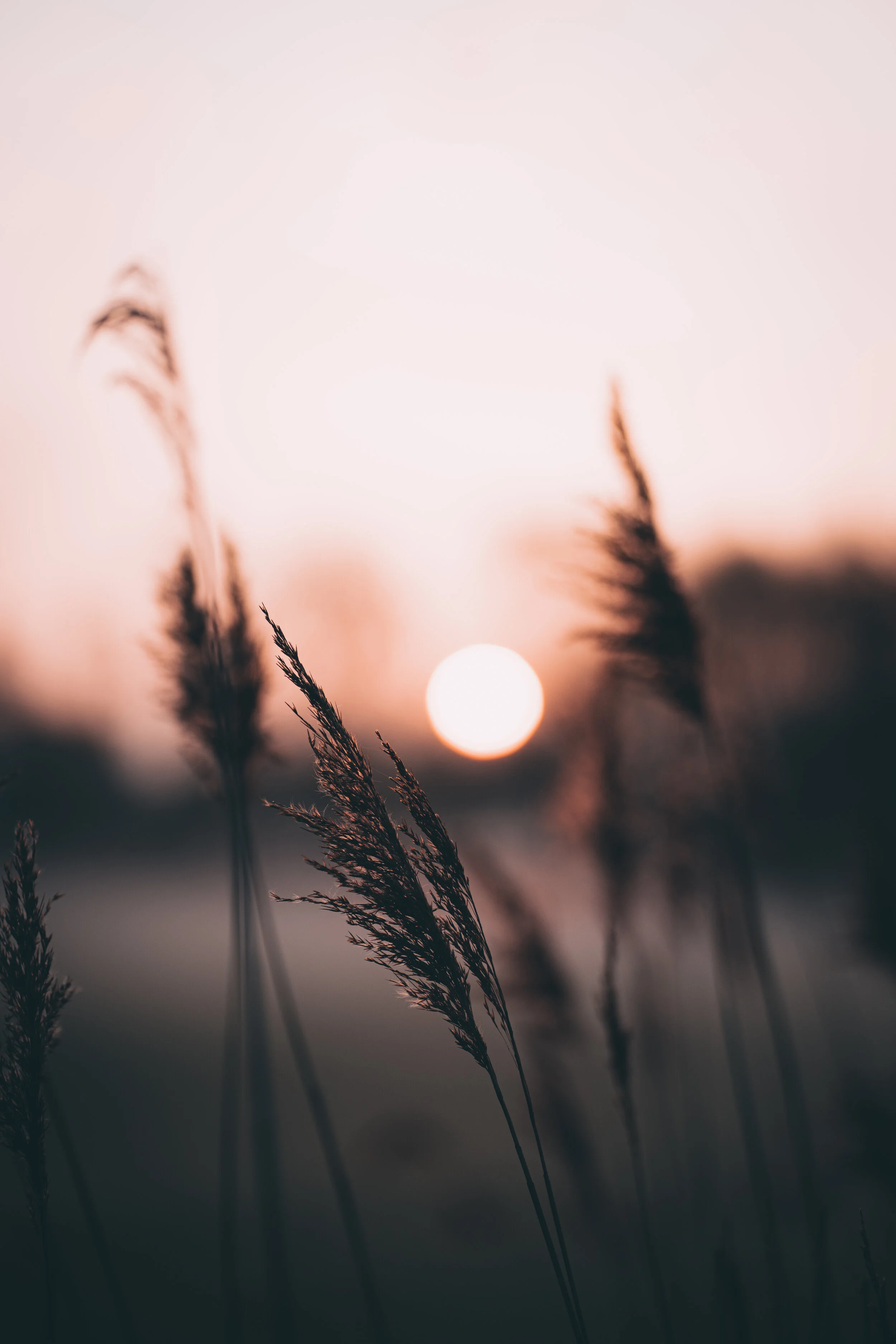 A Prayer for Hope in the Darkness