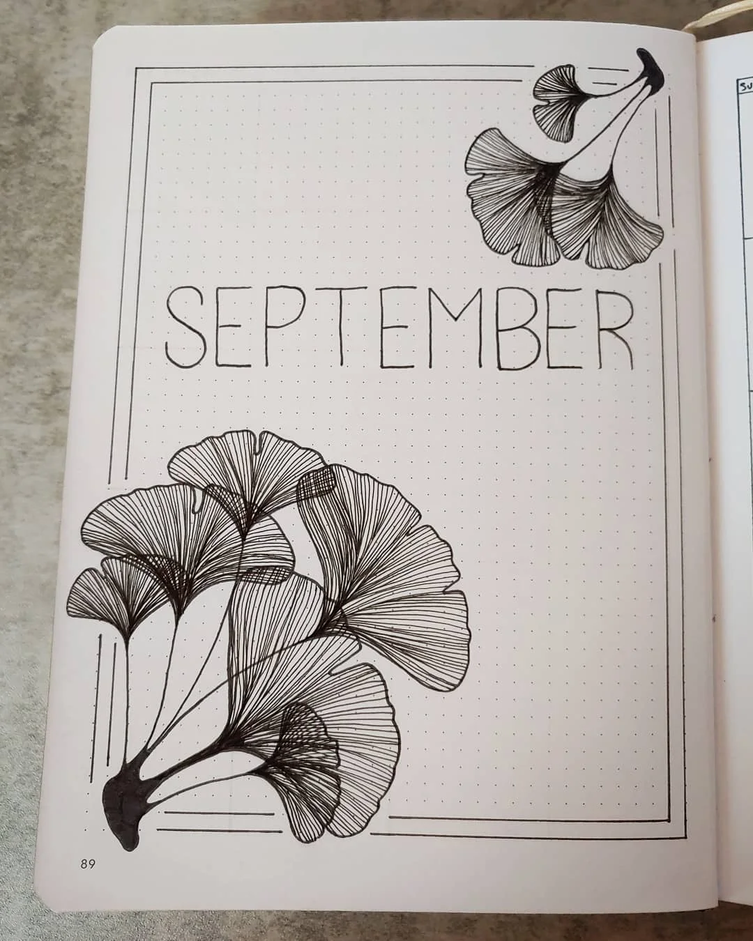 Alina's Bullet Journal