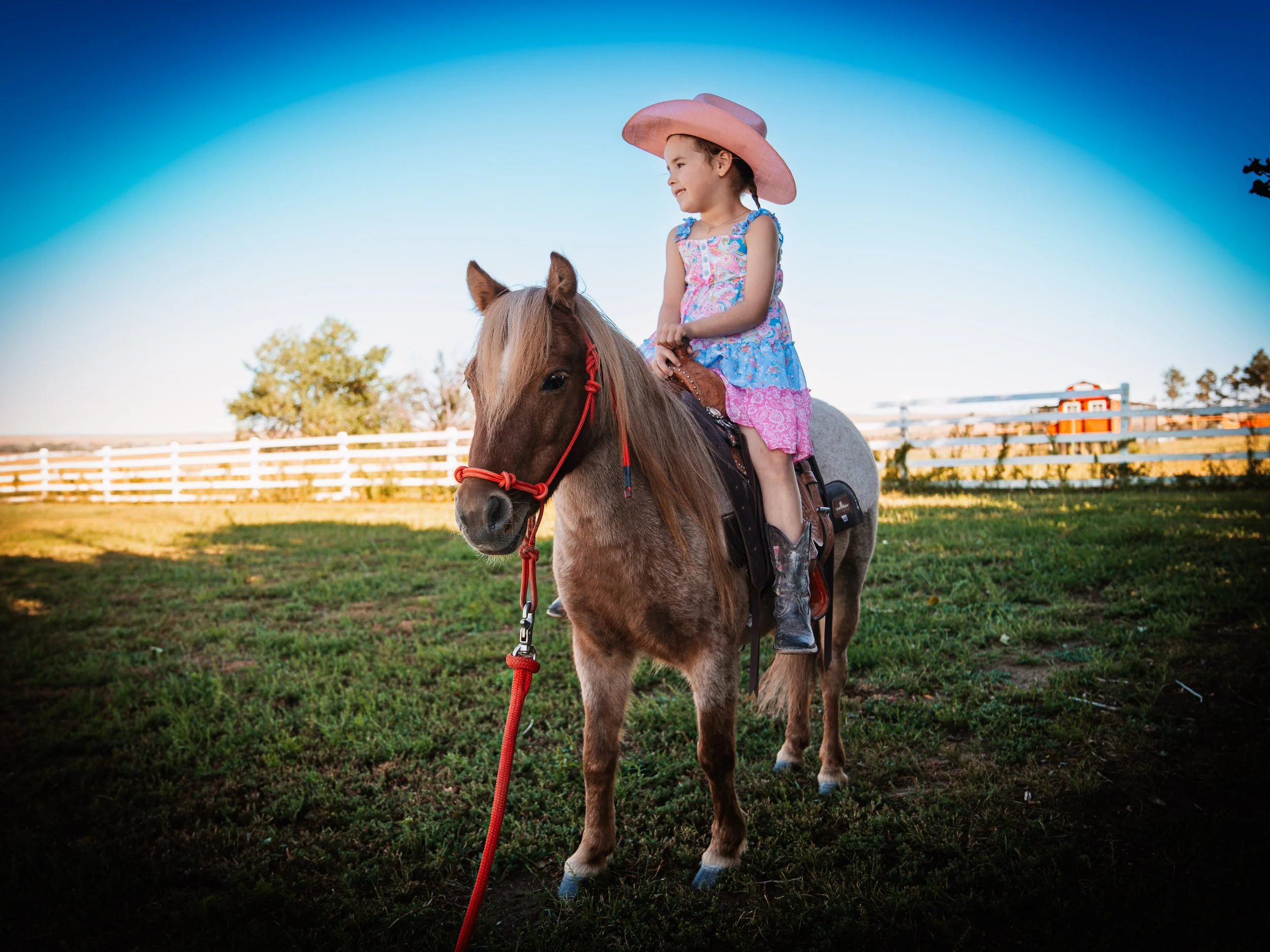 Cornerstone Riding Academy — American Horse Company