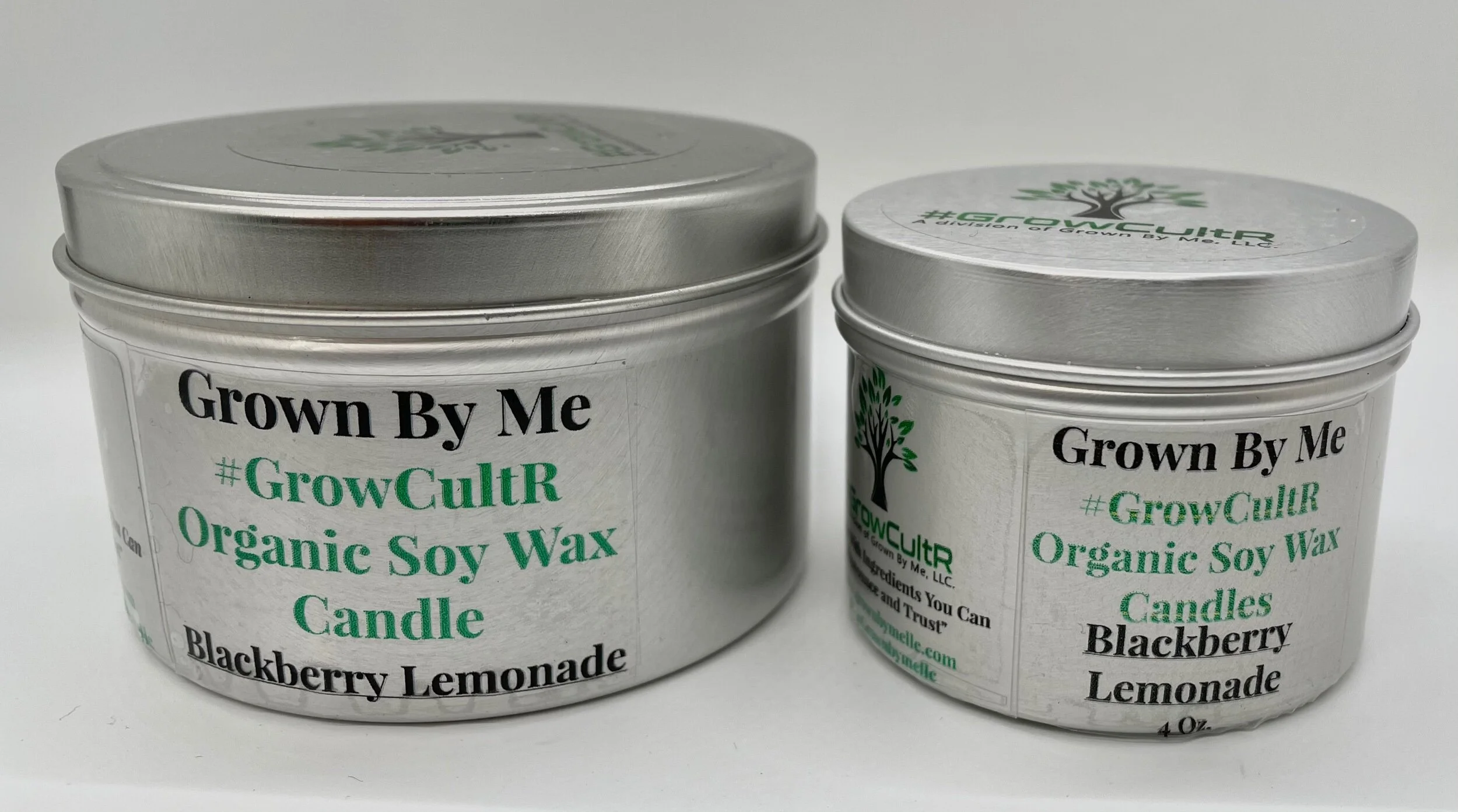 8BE3CD5C-1D9E-4FAC-BD8E-C4A205676491