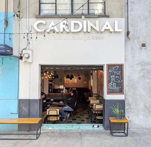 Who else has a favorite coffee spot in Mexico City? #cdmx
.
.
.
.
.
.
.
.
.
#coffeeshop #cardinalcoffee #mexicocity #urbanromantix #whereitravel #liveauthentic #travelgram #travelblogger #travel #travelphotographer #bestintravel #worldplaces #meetthe