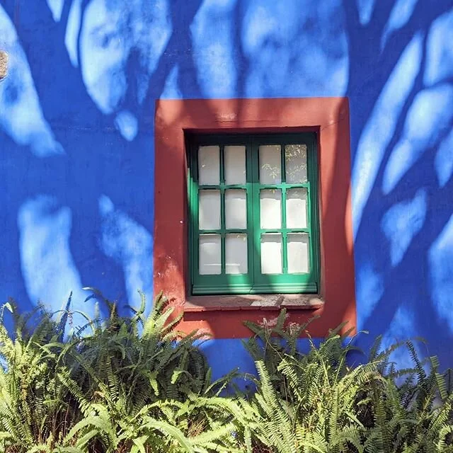 Frida Kahlo's Casa Azul did not disappoint. Just book the first morning spot online and show up a little early! #casaazul #fridakahlo #cdmx
.
.
.
.
.
.
.
.
.
.
.
#coyoacan #mexicocity #mexico #urbanromantix #whereitravel #liveauthentic #travelgram #t