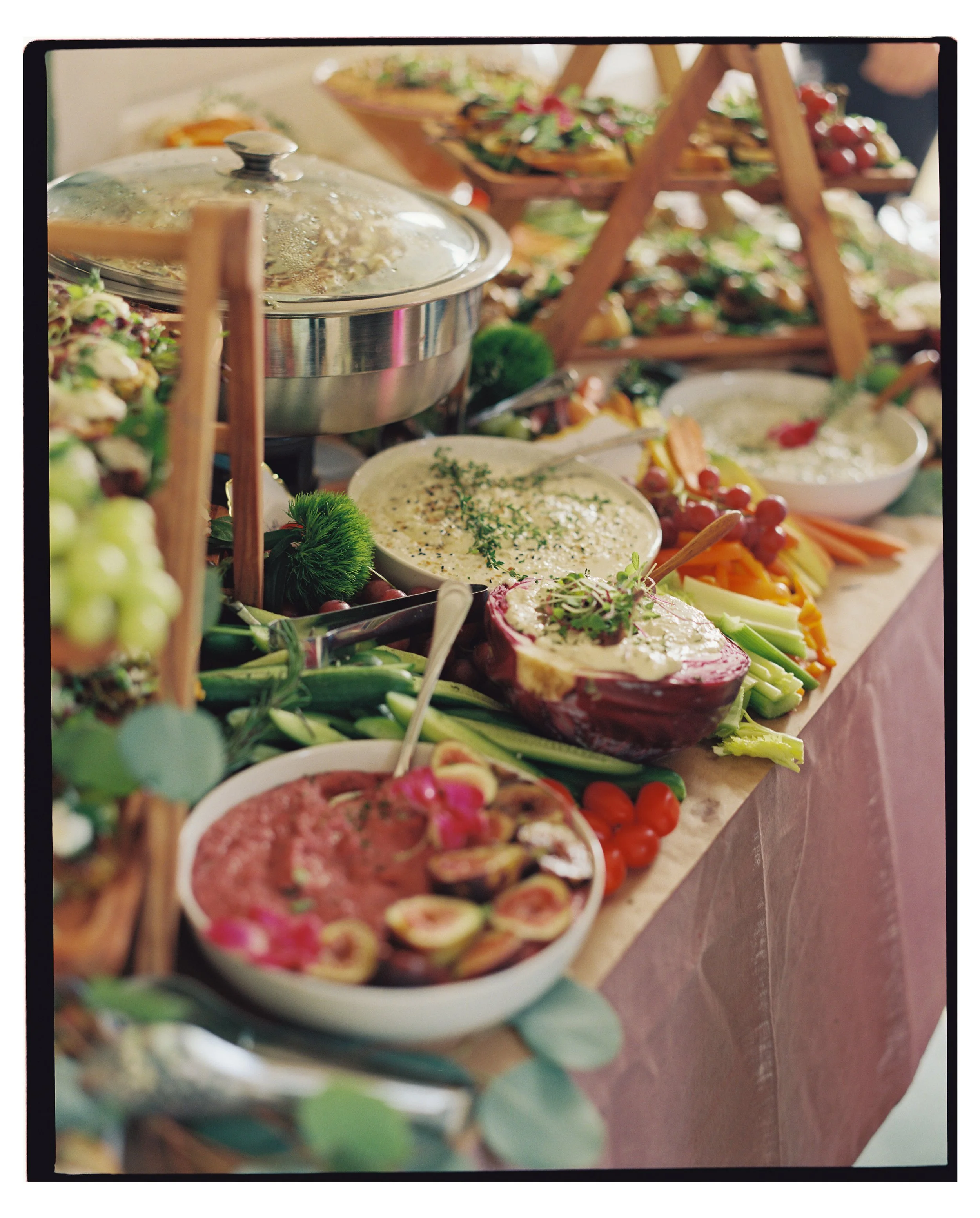 ClaireHill004720-R1-E009 copy 2.jpg