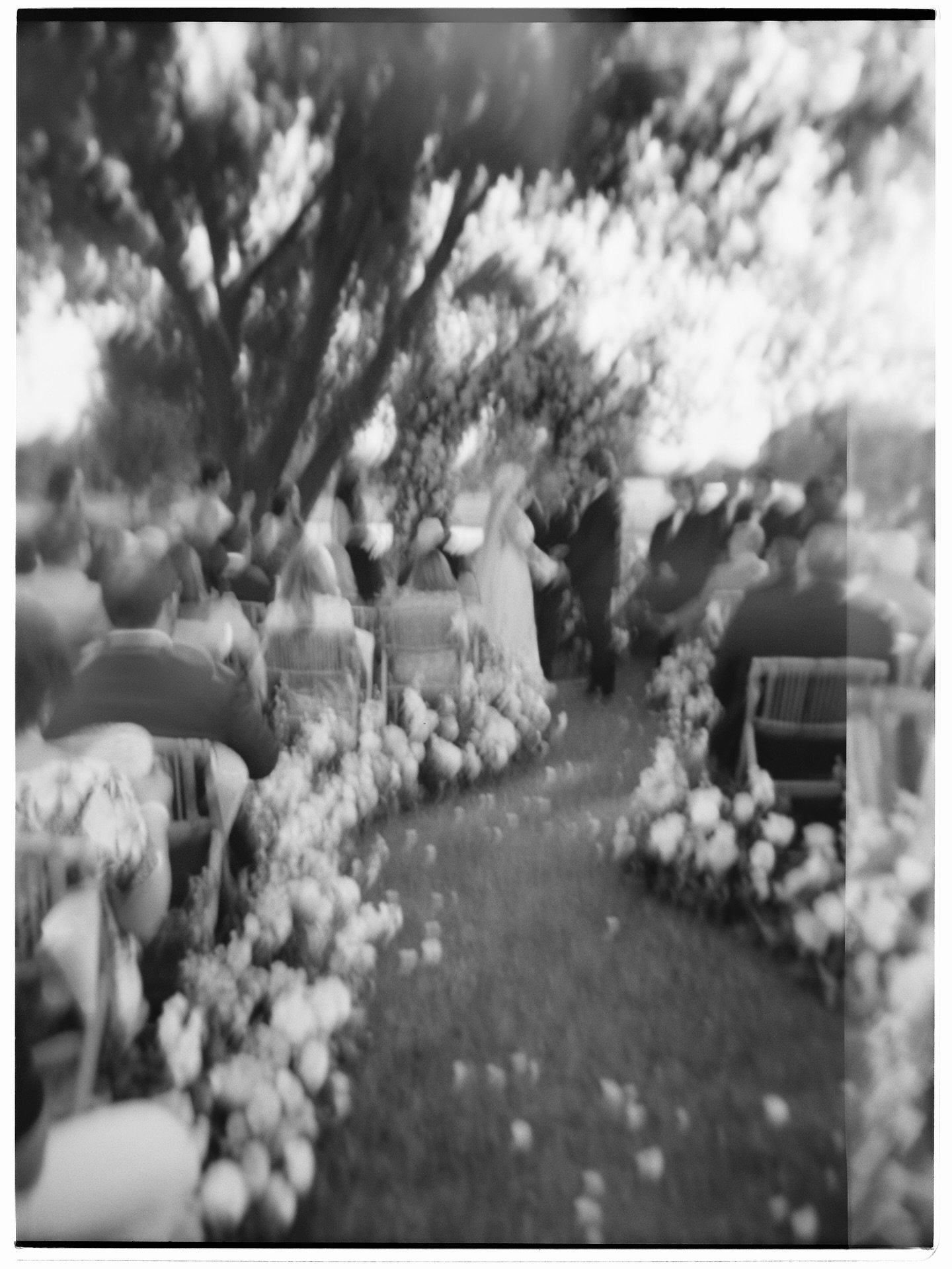 Moments on film from a perfect backyard wedding
