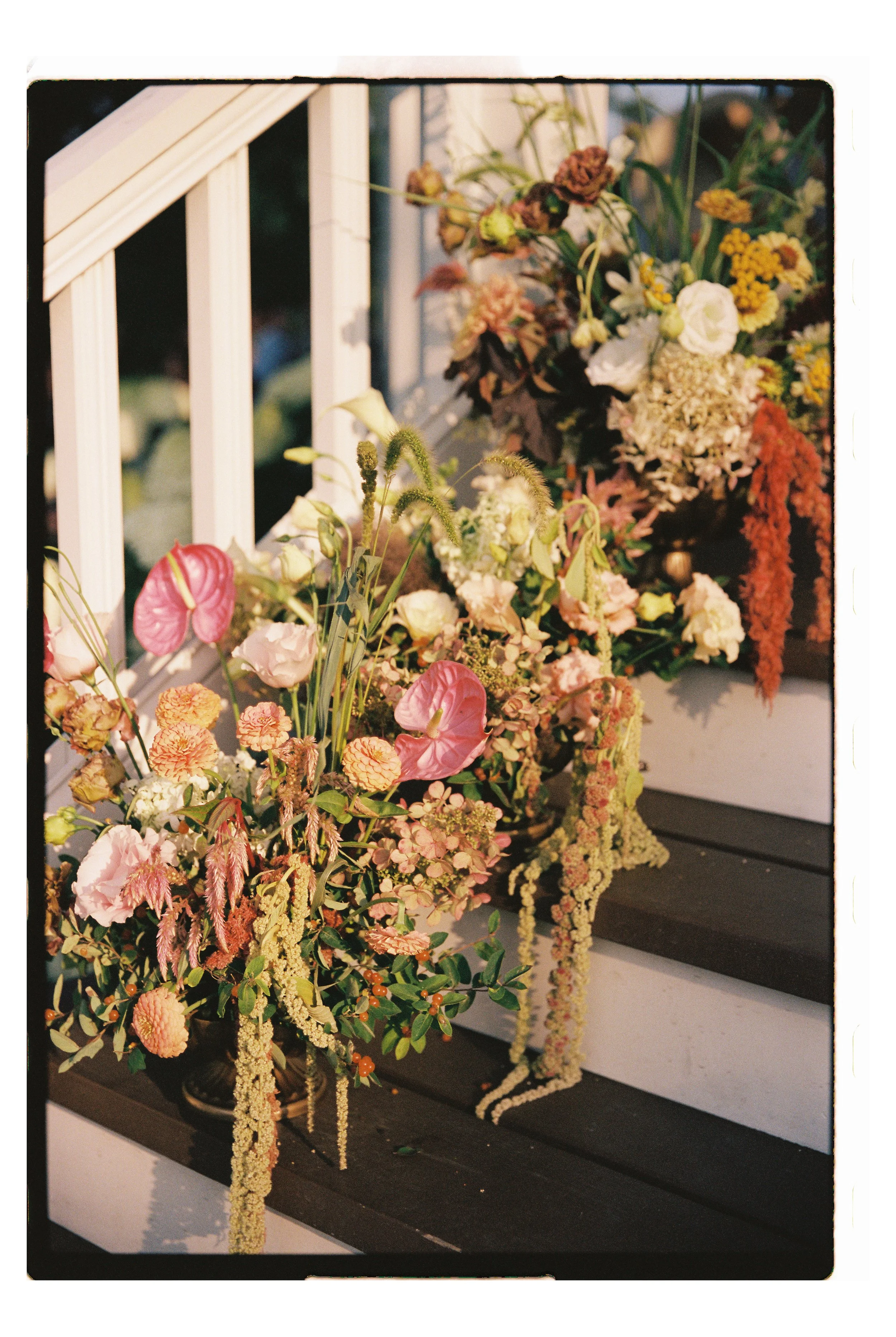 clairehill004713-R1-028-12A_1 copy.jpg