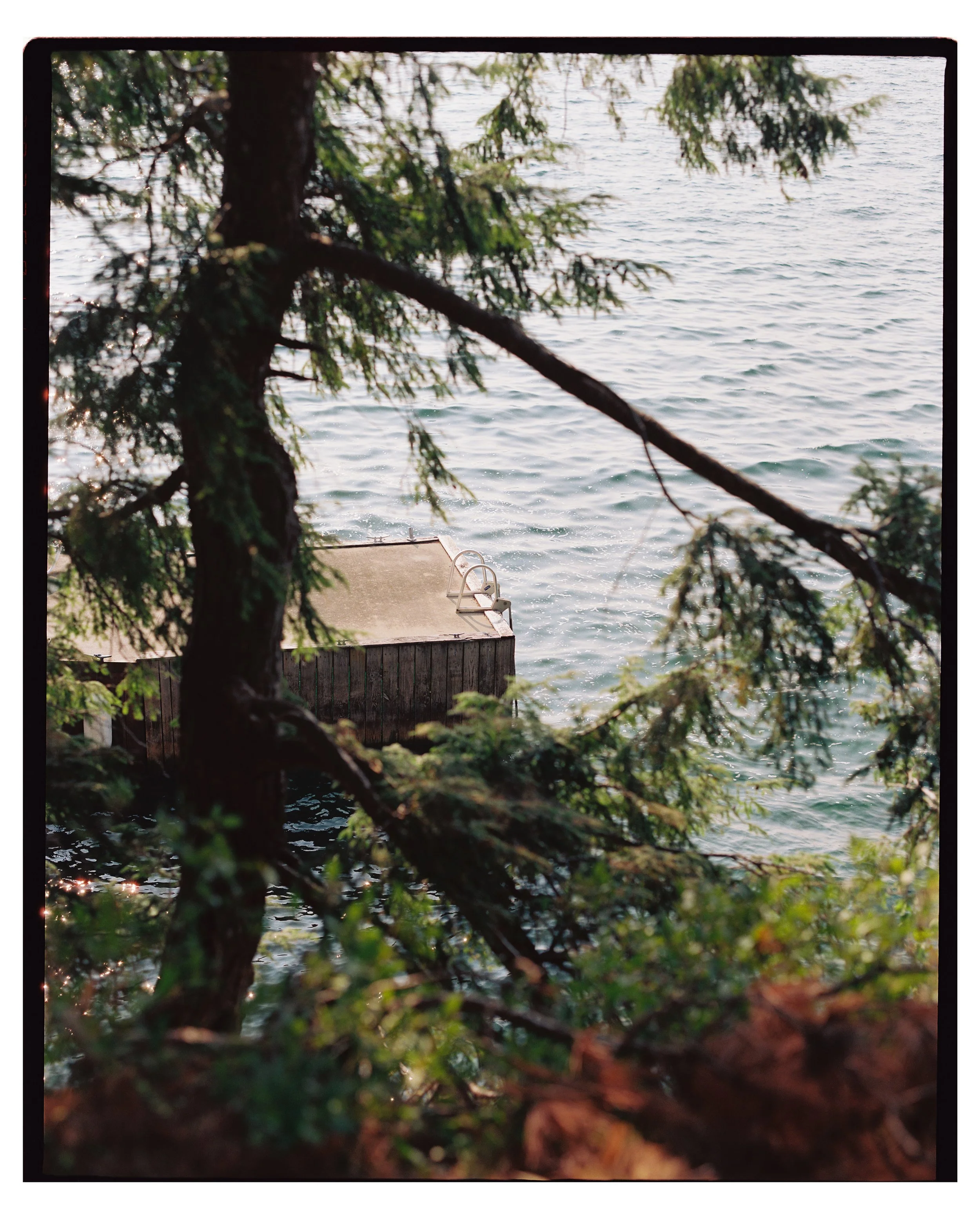 ClaireHill004720-R1-E001 copy.jpg