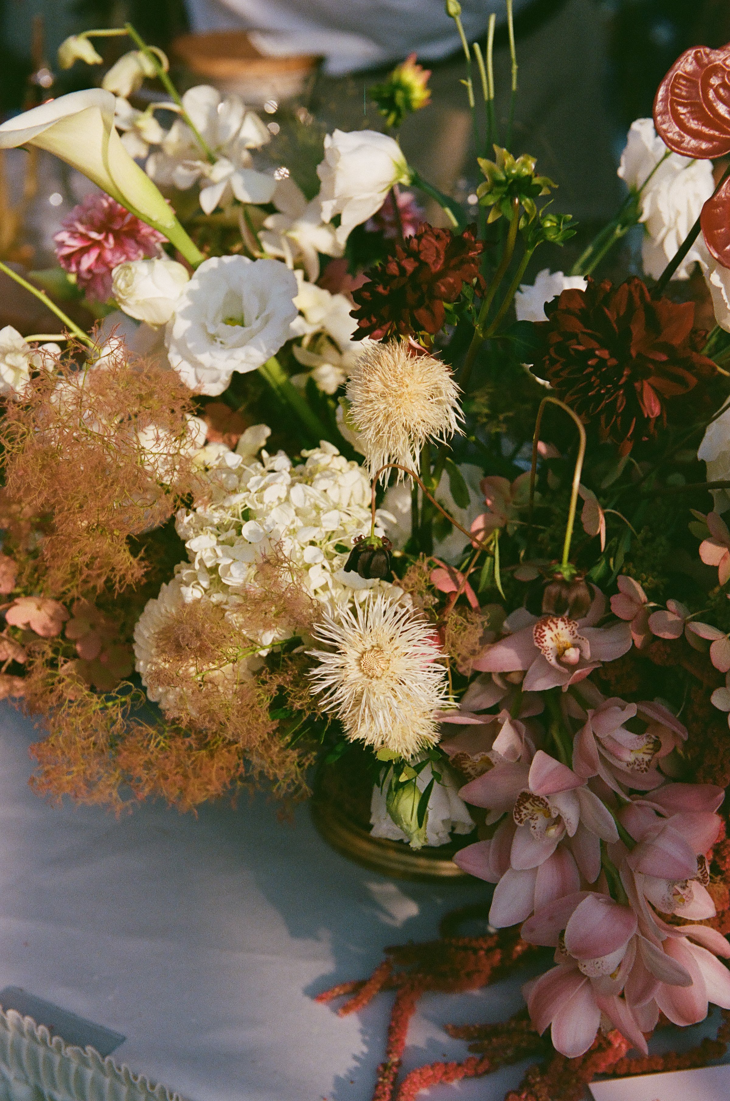 000002070023 copy.jpg