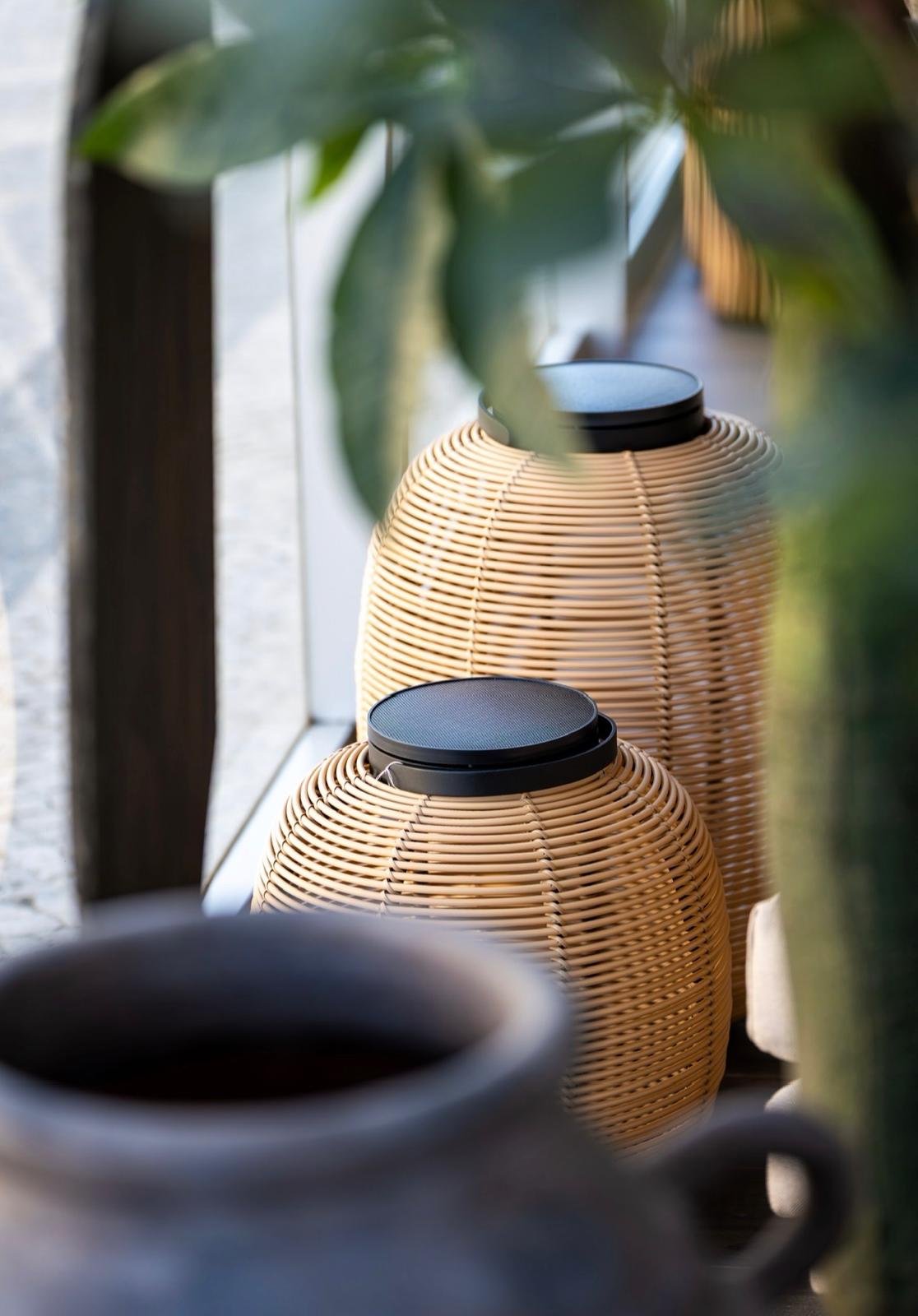 Two woven lanterns with black lids seen through green leaves — interior design by Sarah Nicollier Interiors