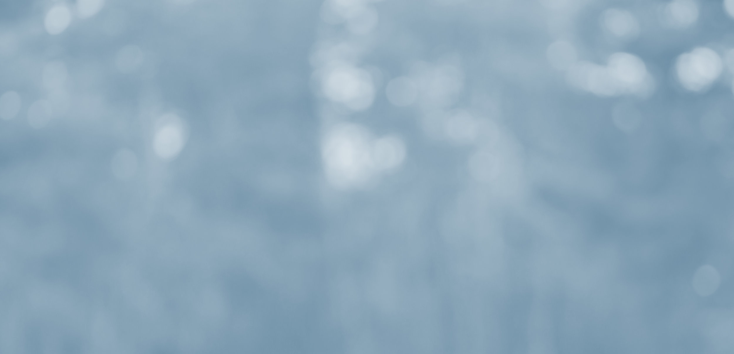 blurred-plants-denim.jpg