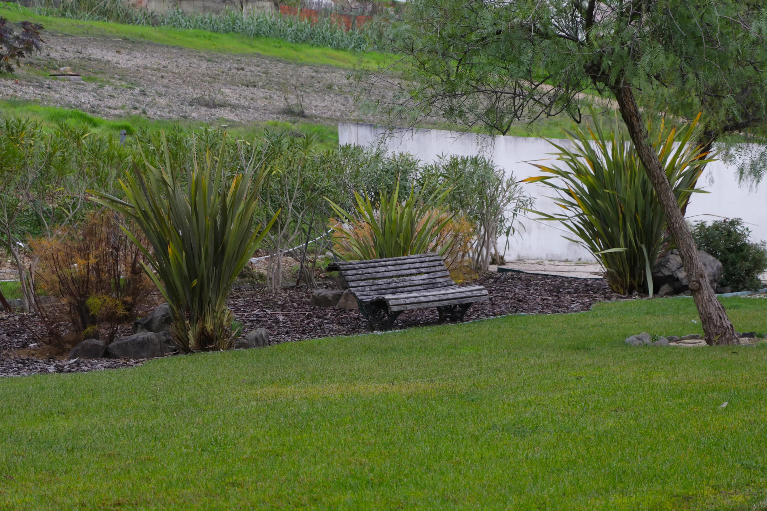 2018 Campolide 1.jpg