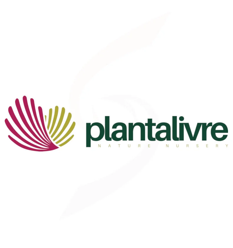 Planta Livre.jpg