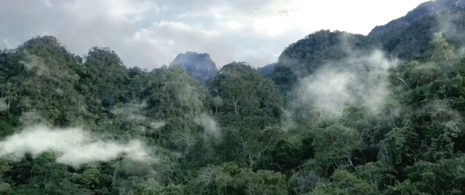 Lottery | The village