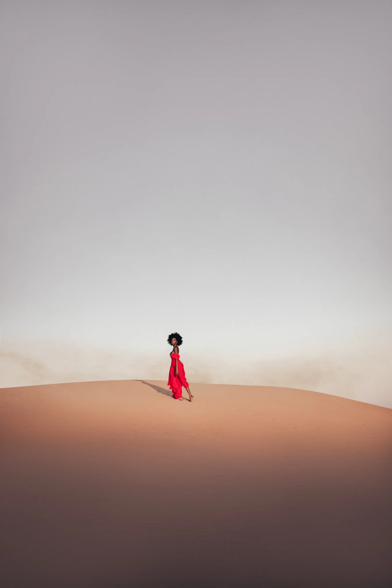 TSD_Small-4.jpg