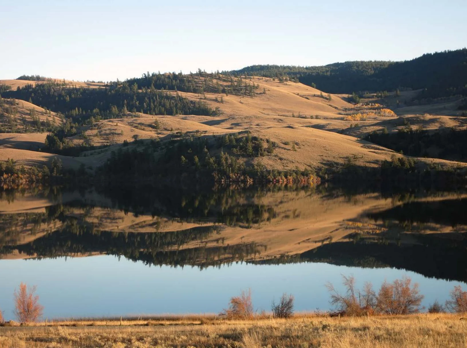 Kwusen-Authored Report Cited in Trans Mountain Court Decision