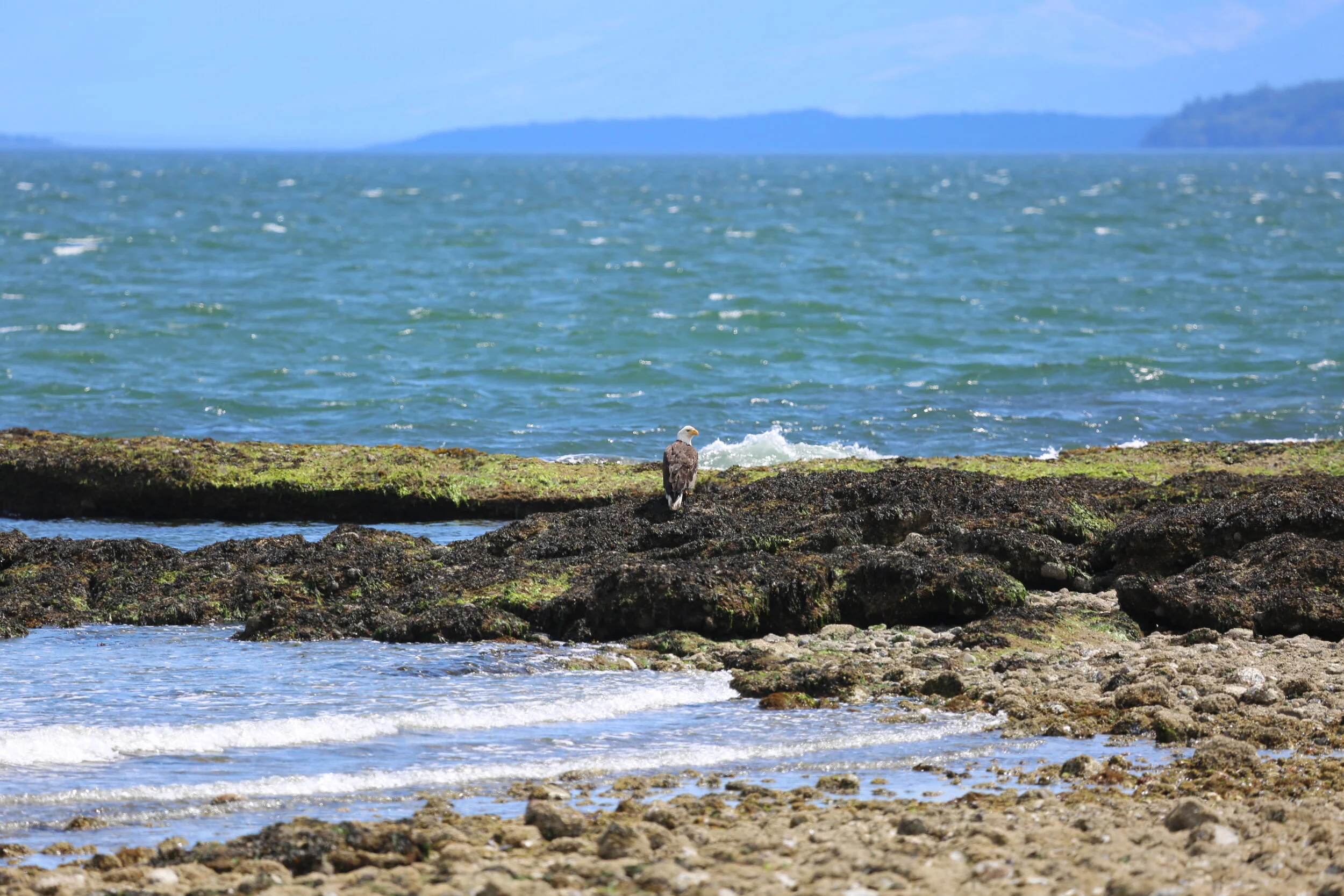 Indigenous Land Use Studies: Towards a Holistic Concept of Land Use