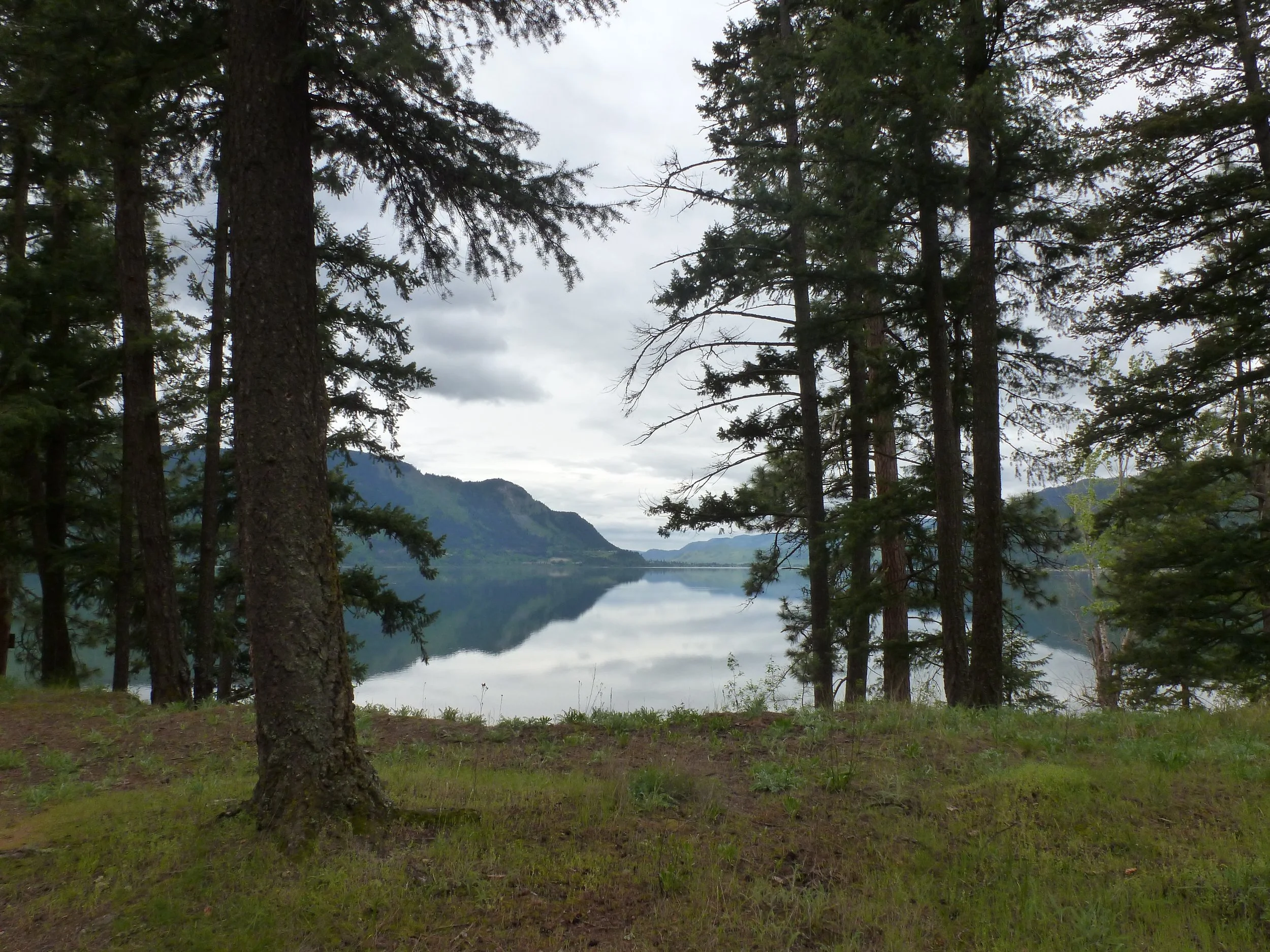 Employment Opportunity: Indigenous Rights Researcher
