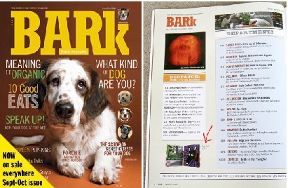 THE BARK MAGAZINE