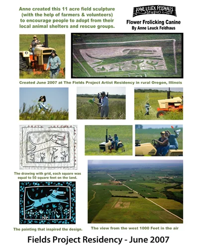 2007FieldsProfile.jpg