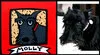mollybeforeafter.jpg