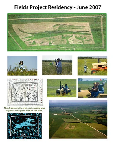 fieldsproject.jpg