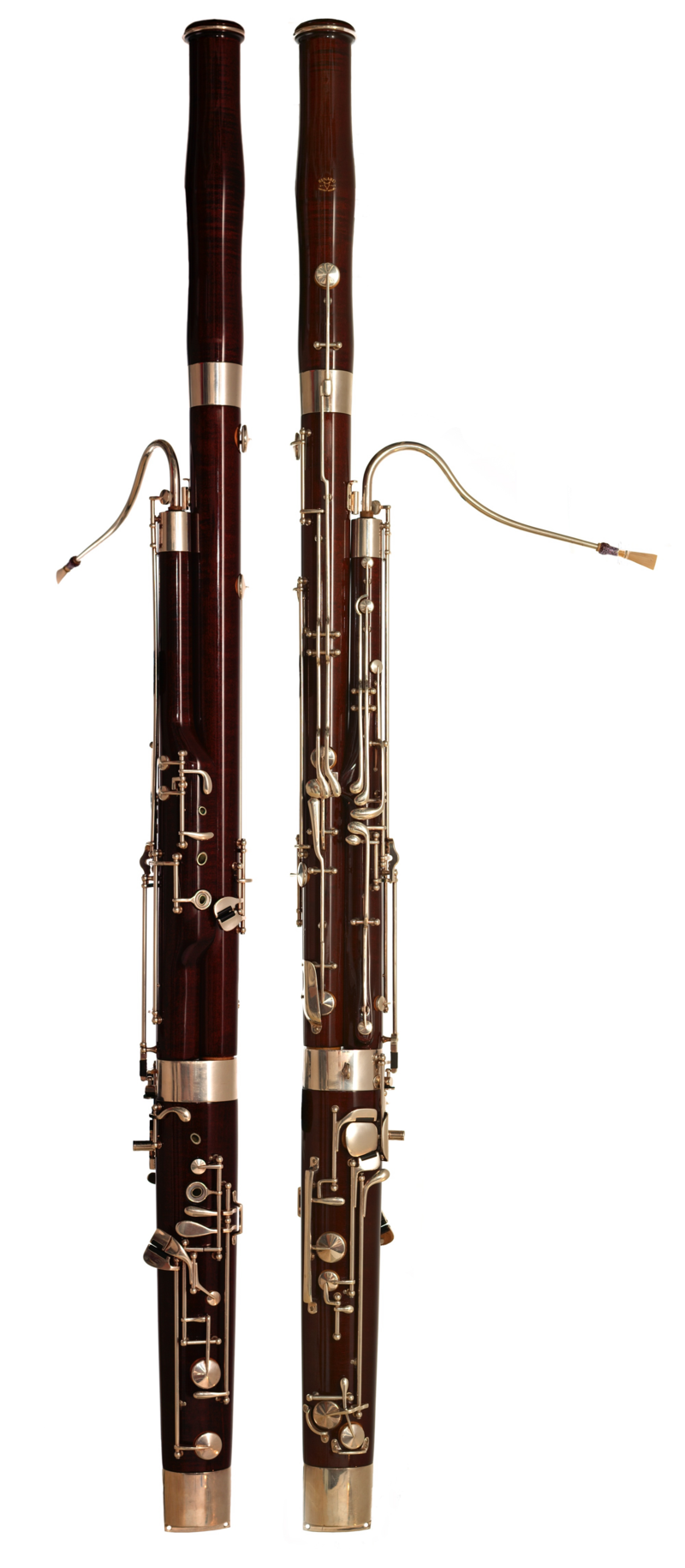 Who Plays in the Orchestra? — Skagit Symphony