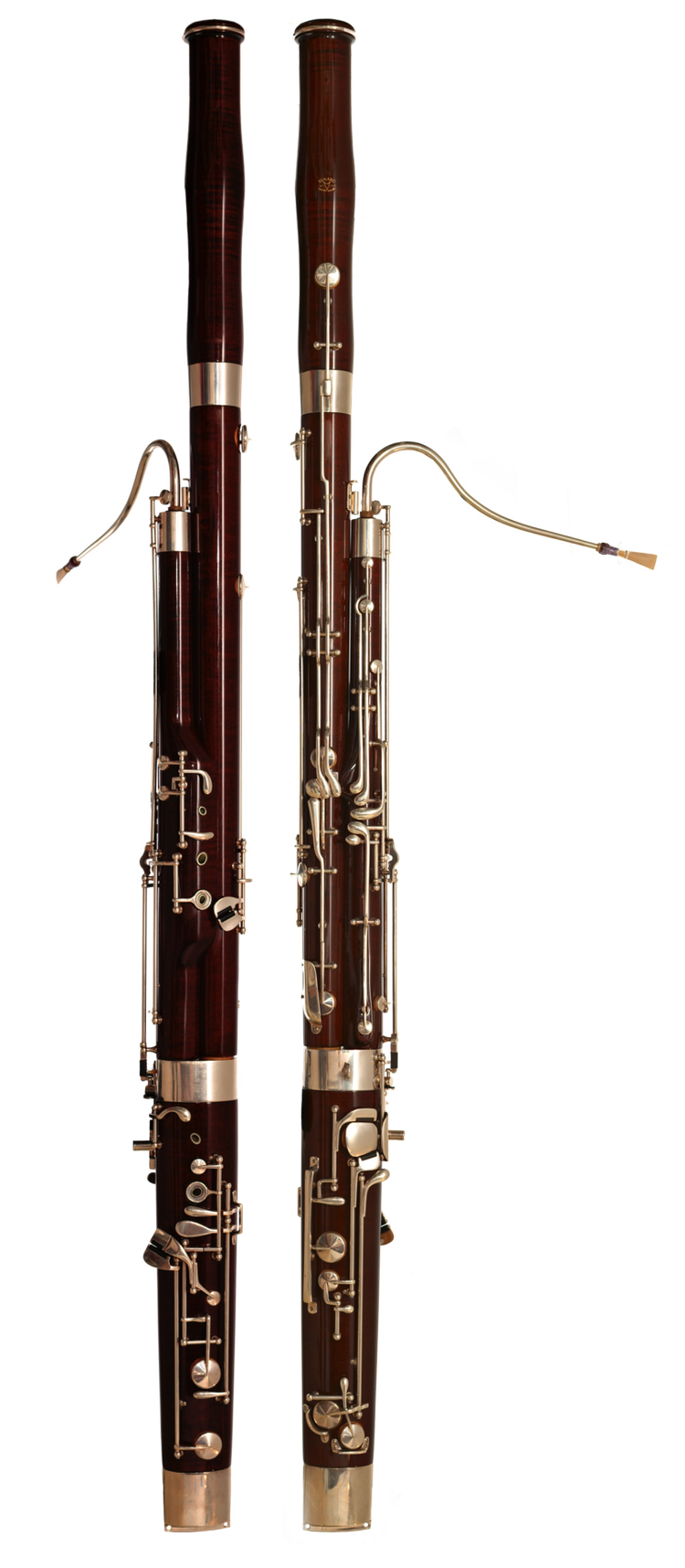 Who Plays in the Orchestra? — Skagit Symphony