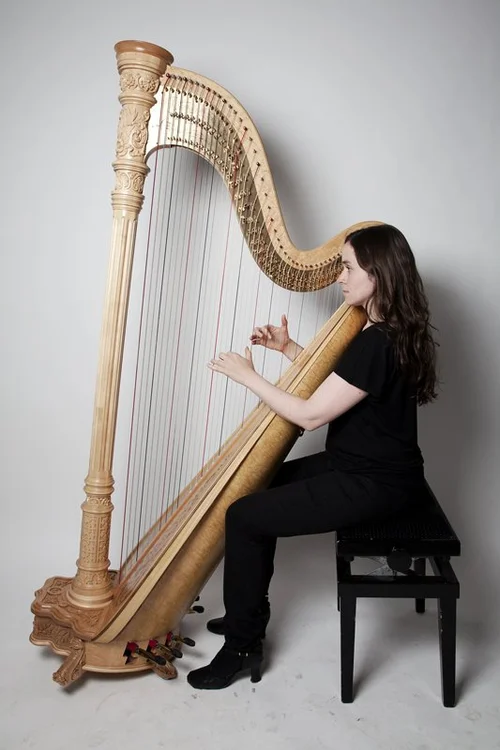 Who Plays in the Orchestra? — Skagit Symphony
