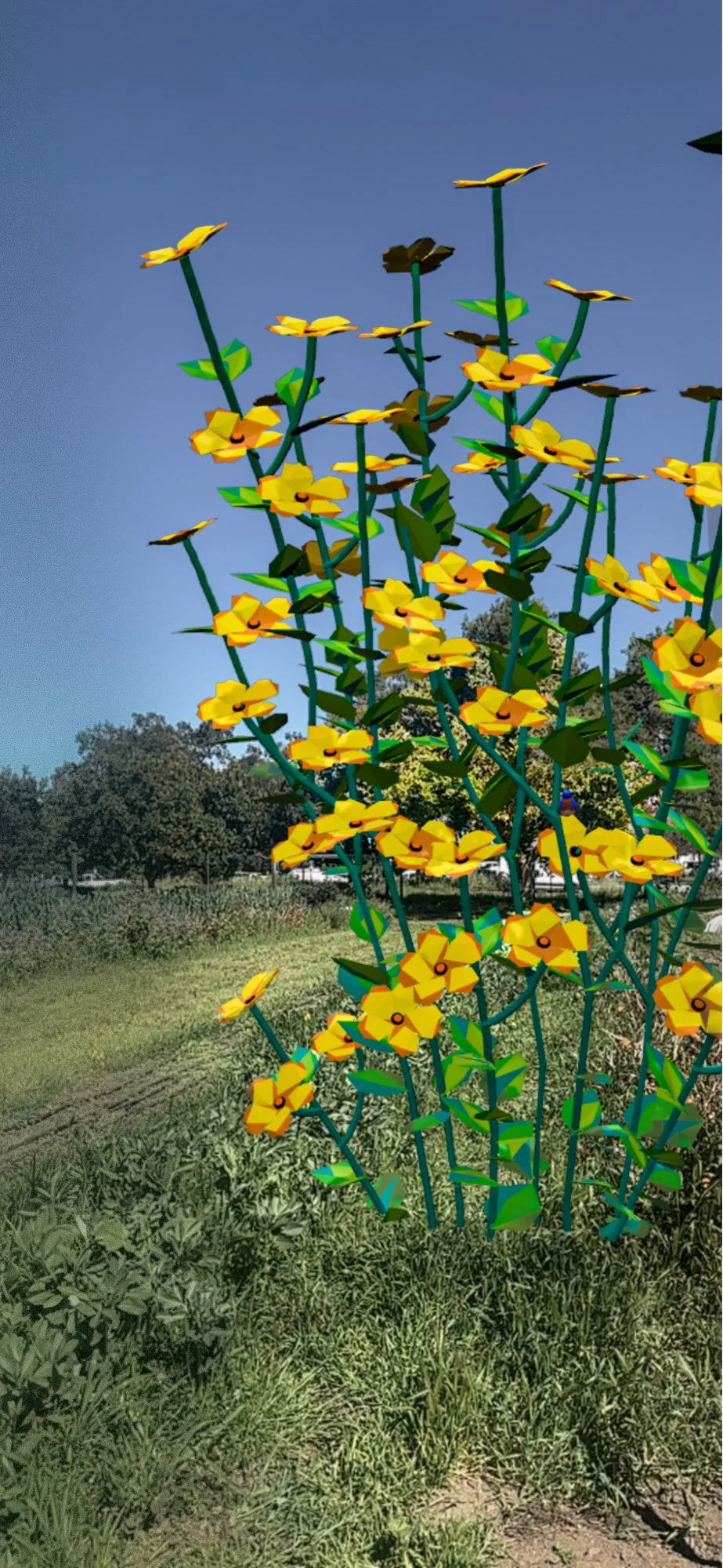 Phoebe still graded2_graded.jpg