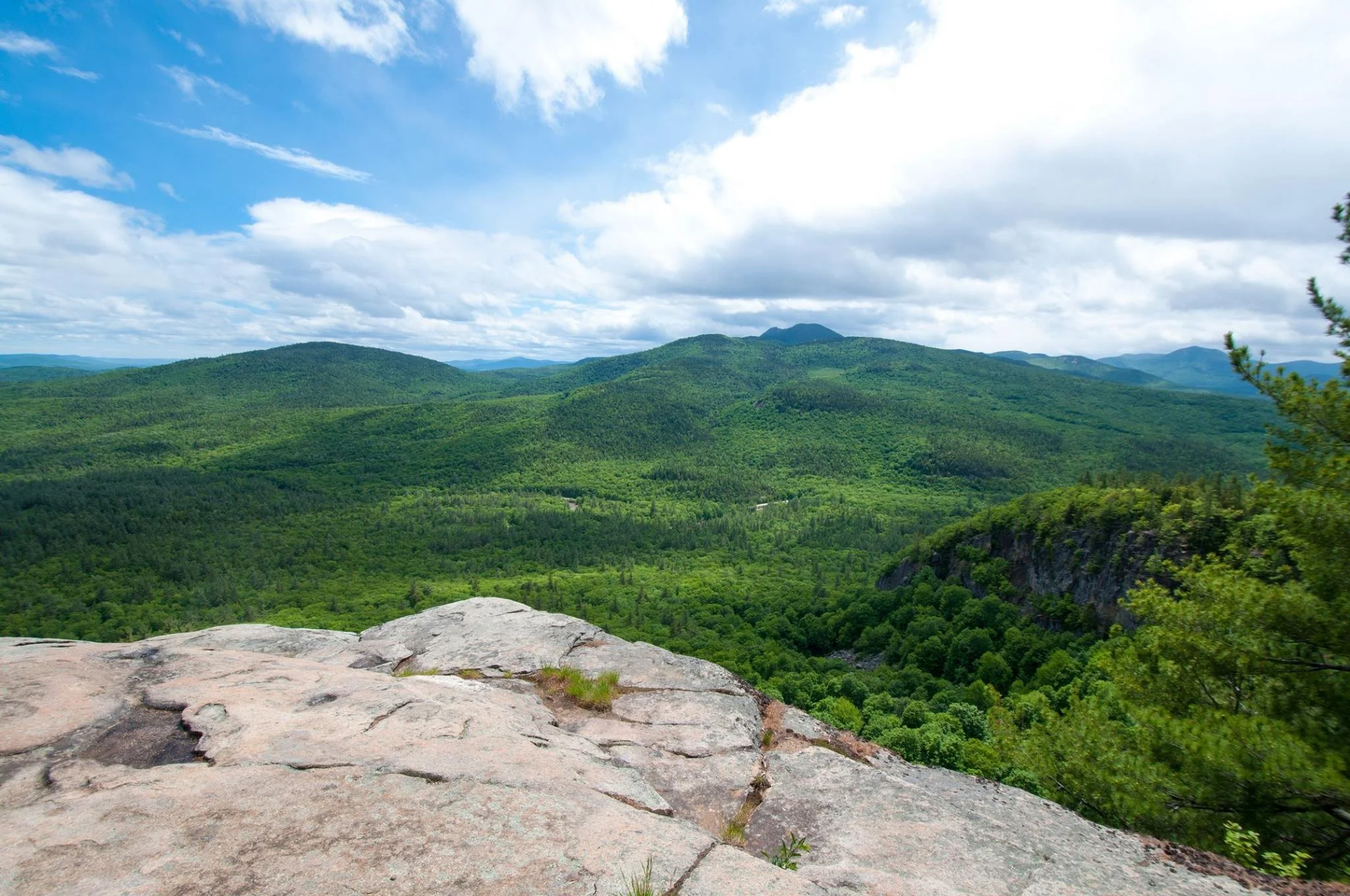 Prosecutor Drops Loitering Charge After Activist Challenges Statute as Unconstitutional