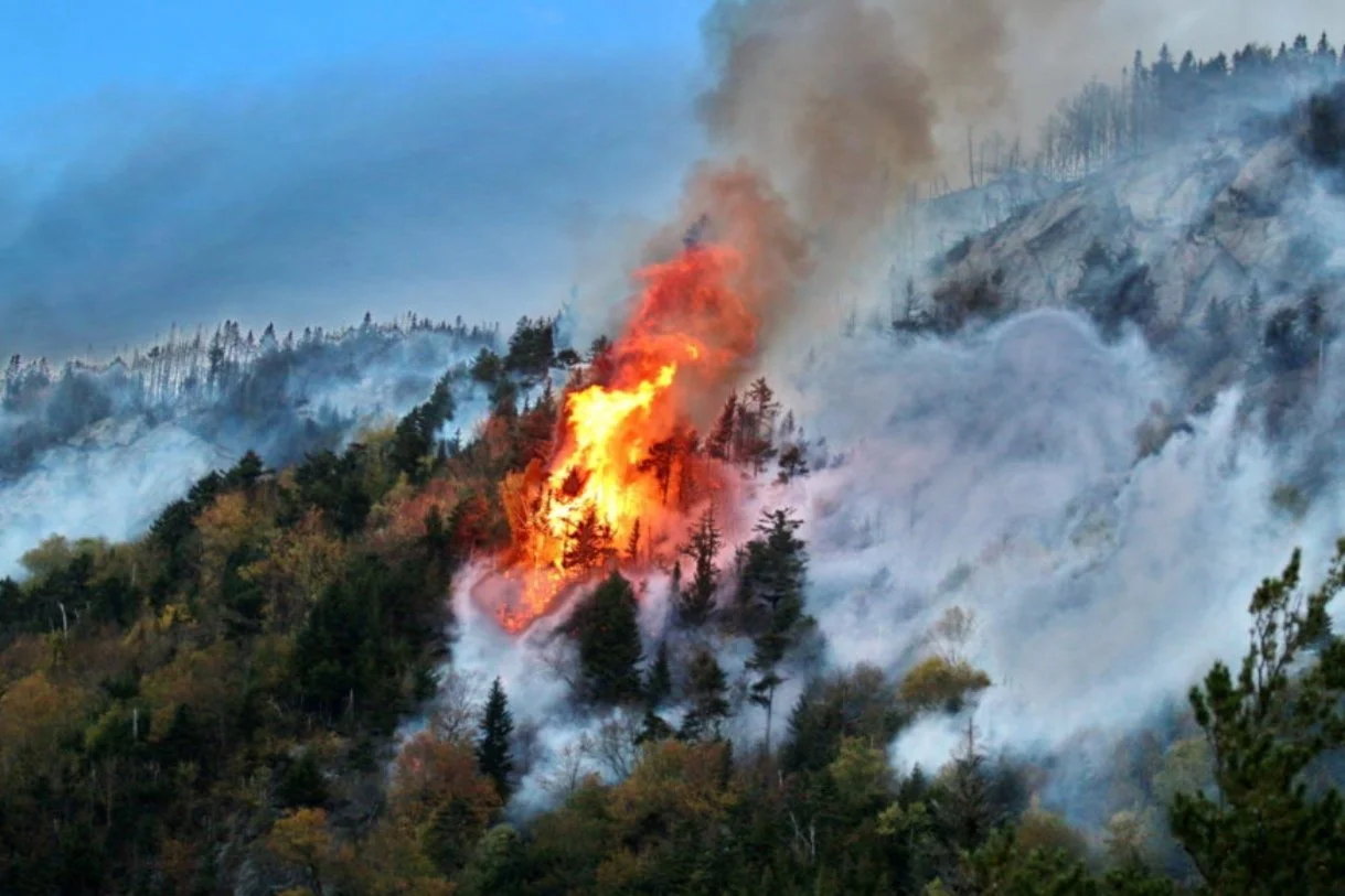 2024 Auction of Horrible Things