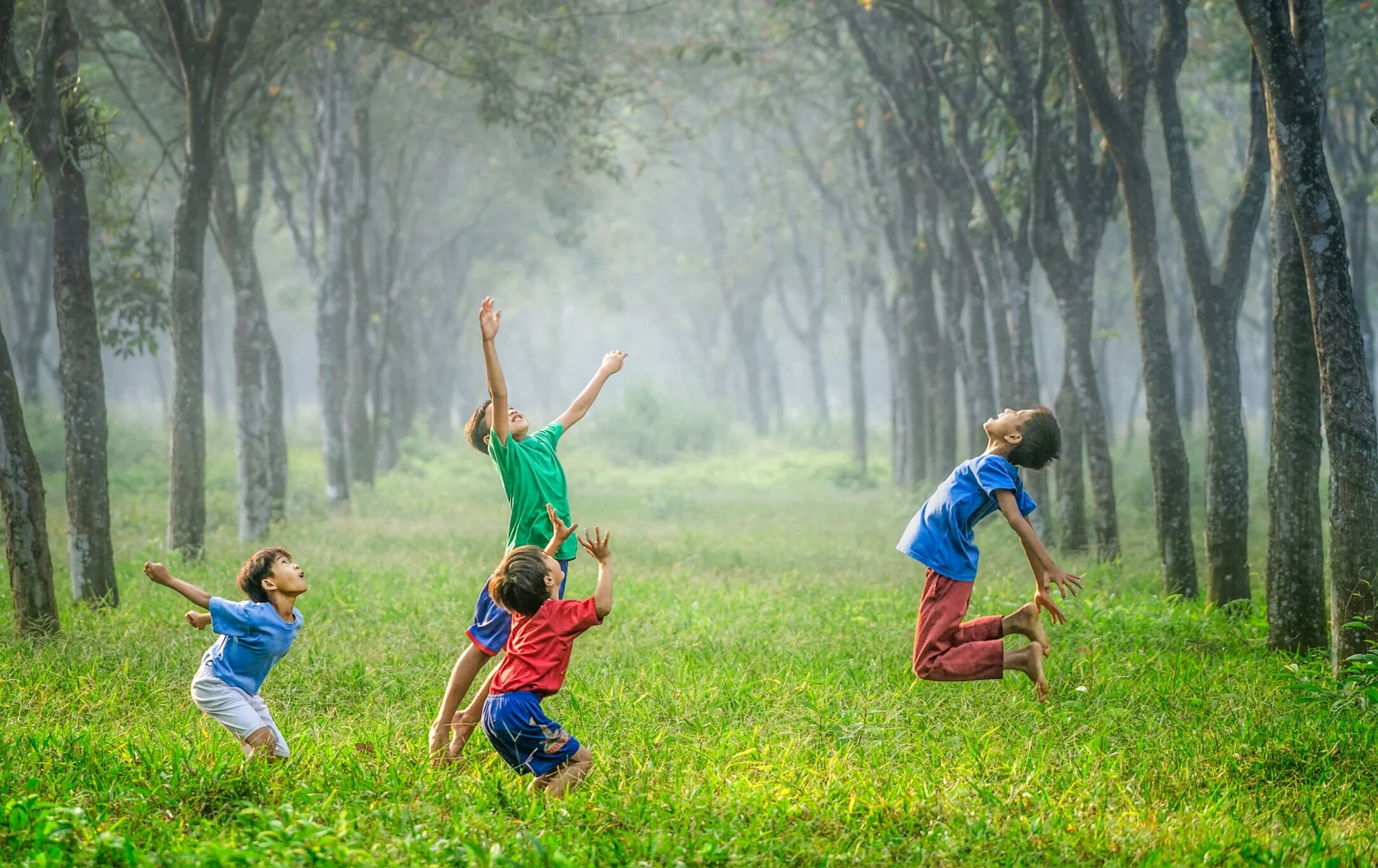 Free Qigong Videos, Courses, and Guidebooks