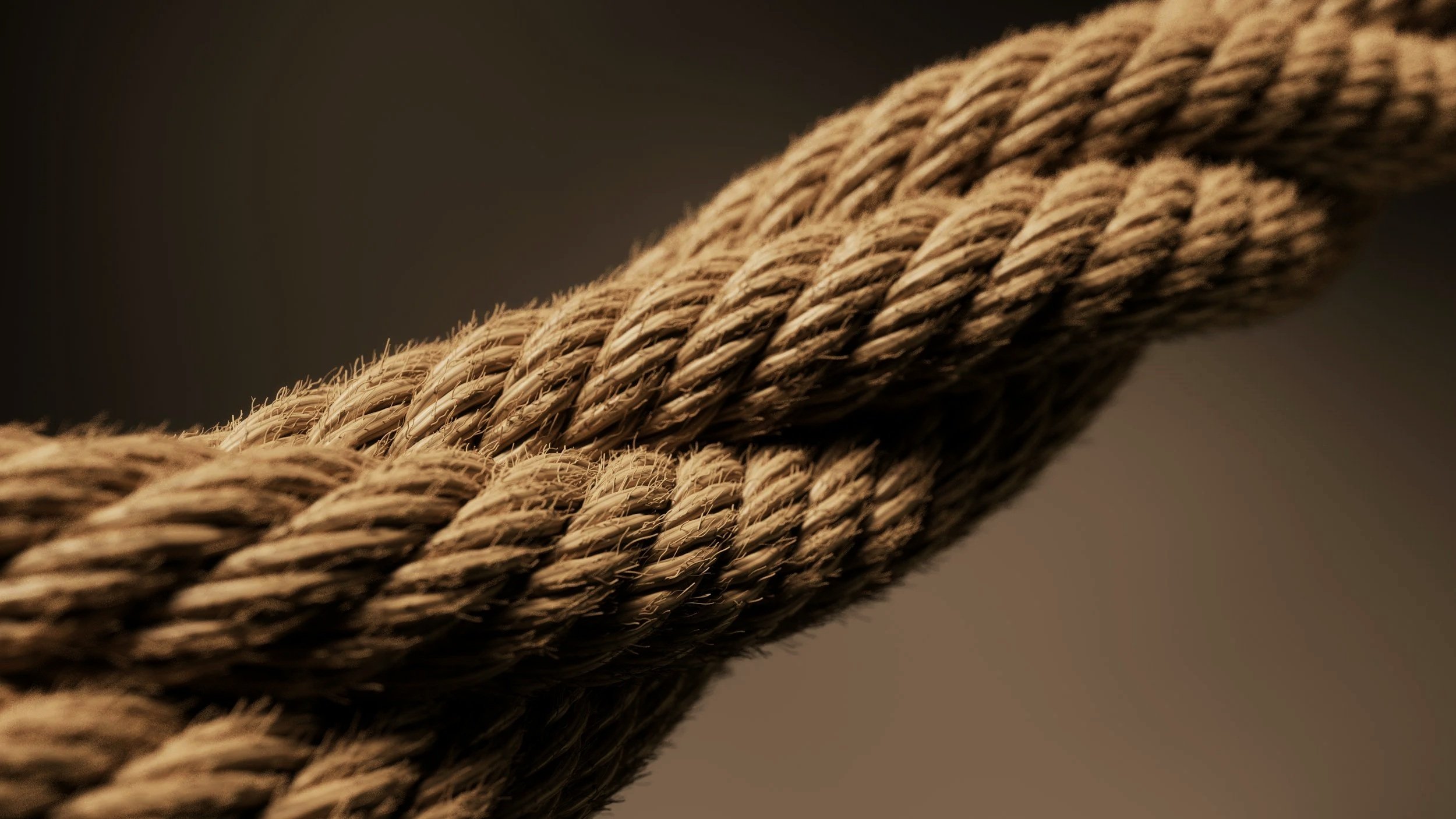 Entwined fibers, working together.