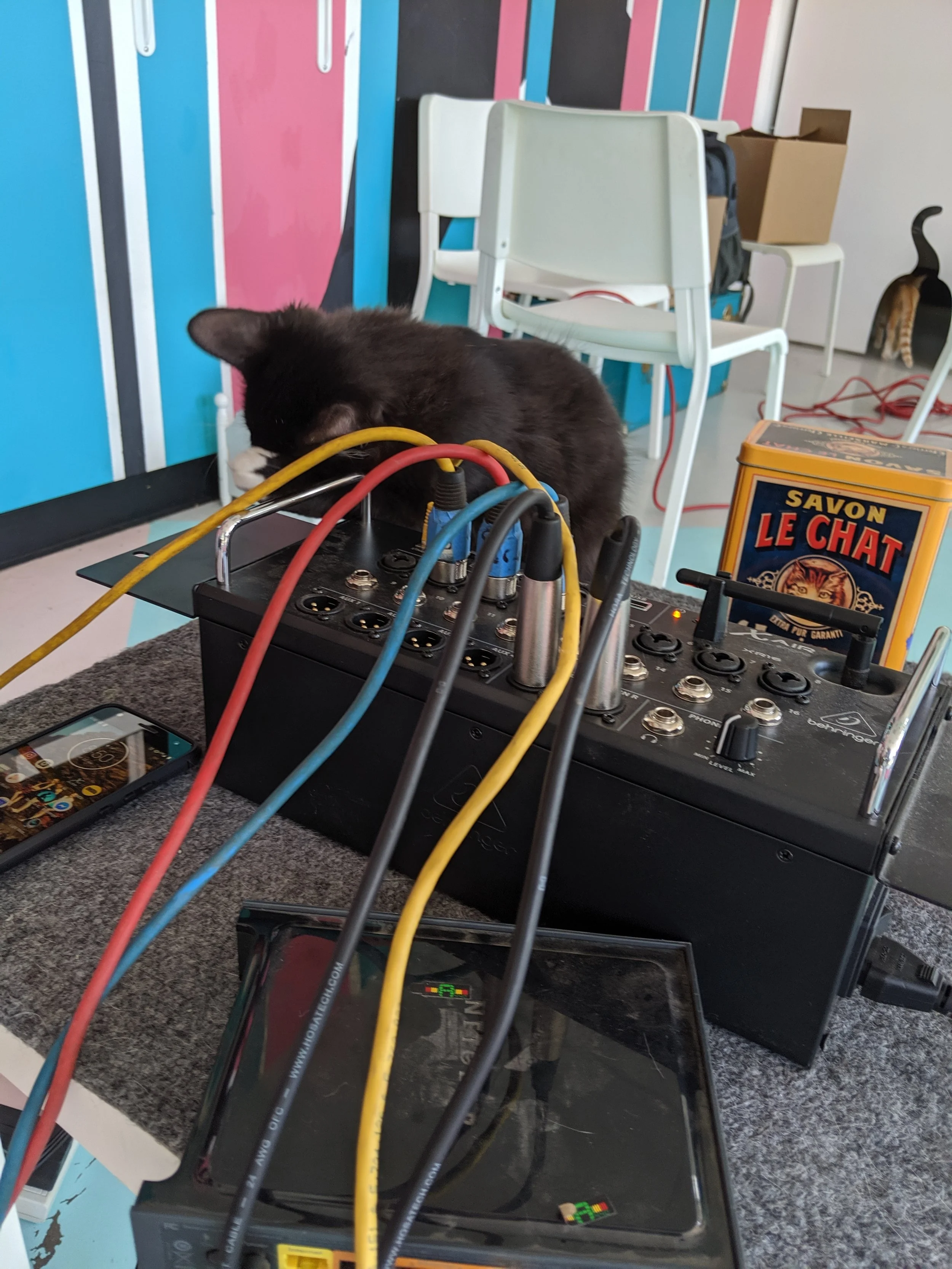 Podcast Taped at La Gattara in Tempe, AZ