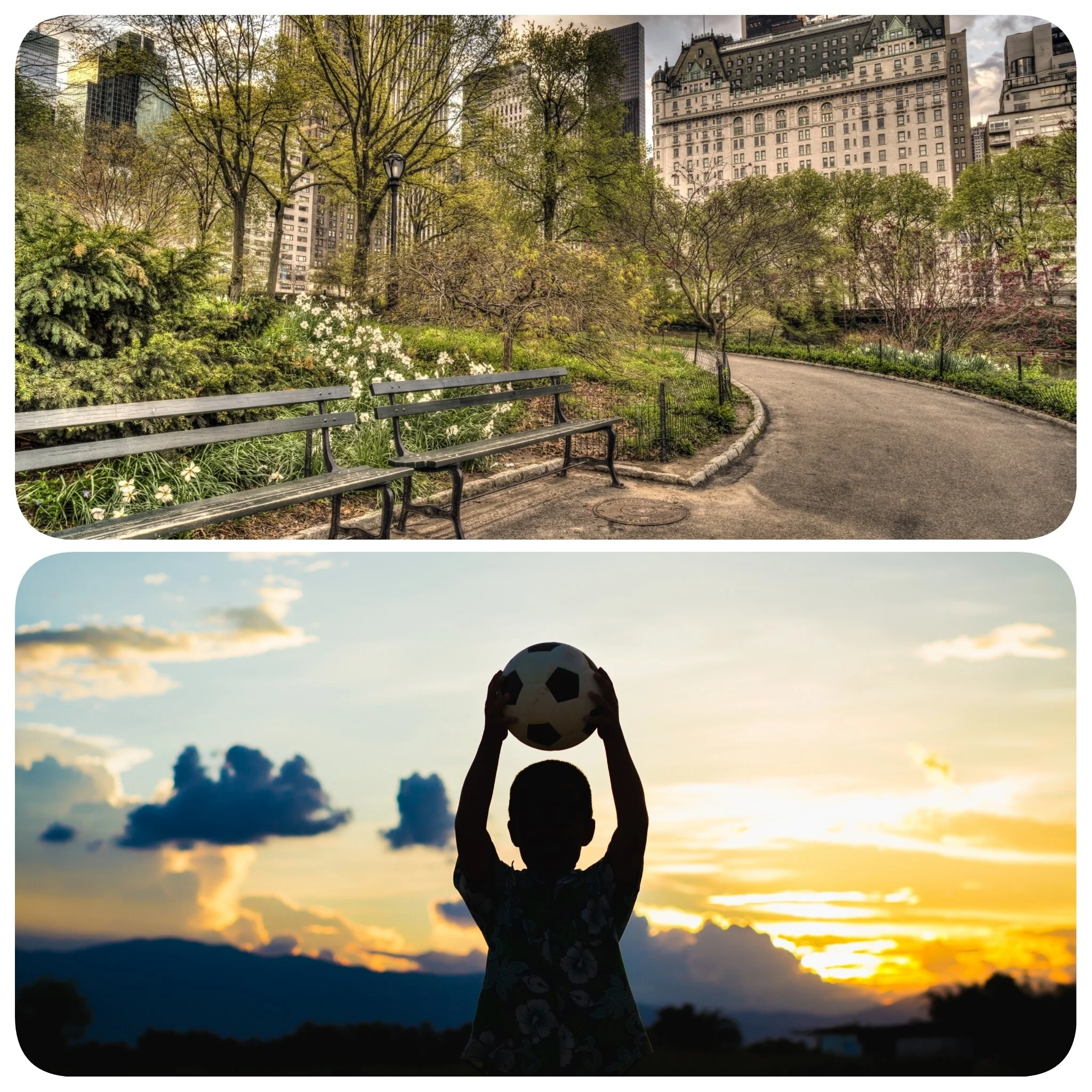 Top Books on Amazon!