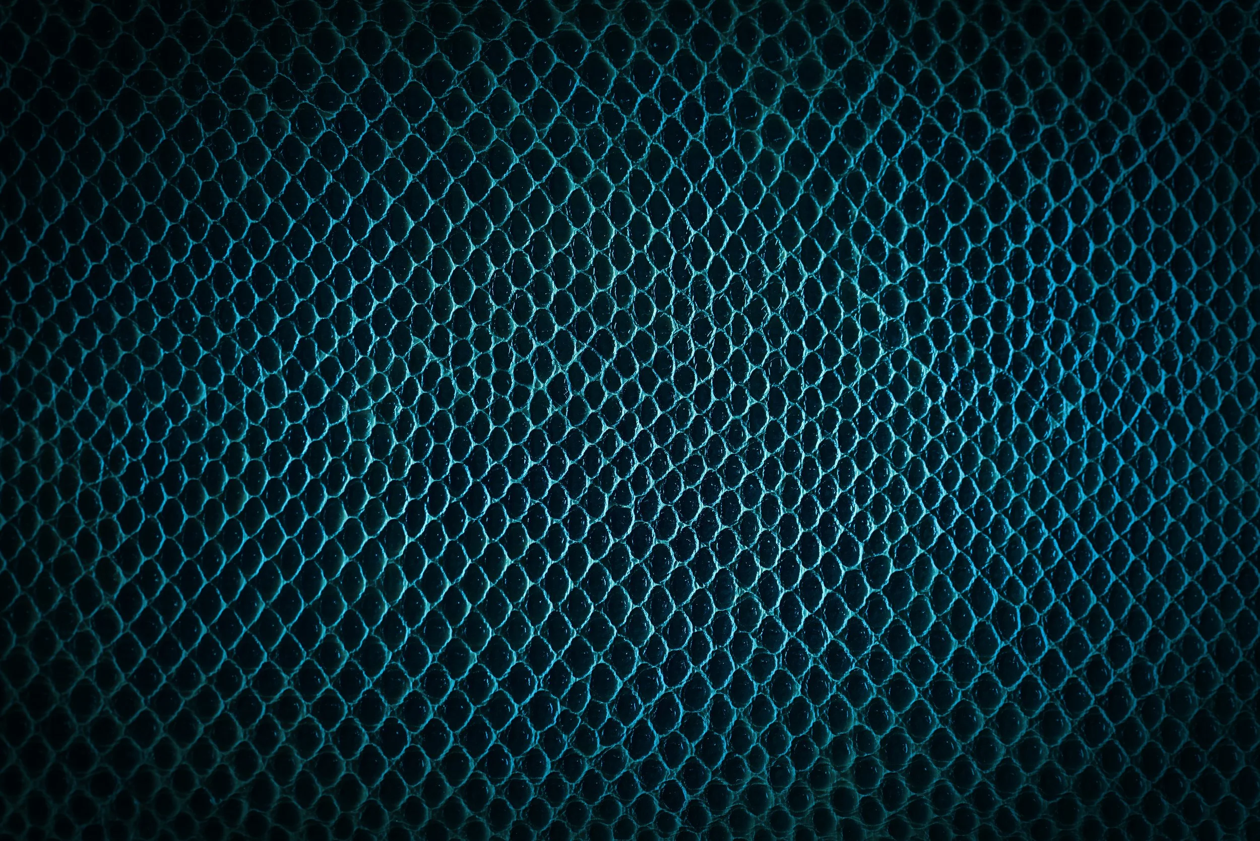 AdobeStock_64555793.jpeg