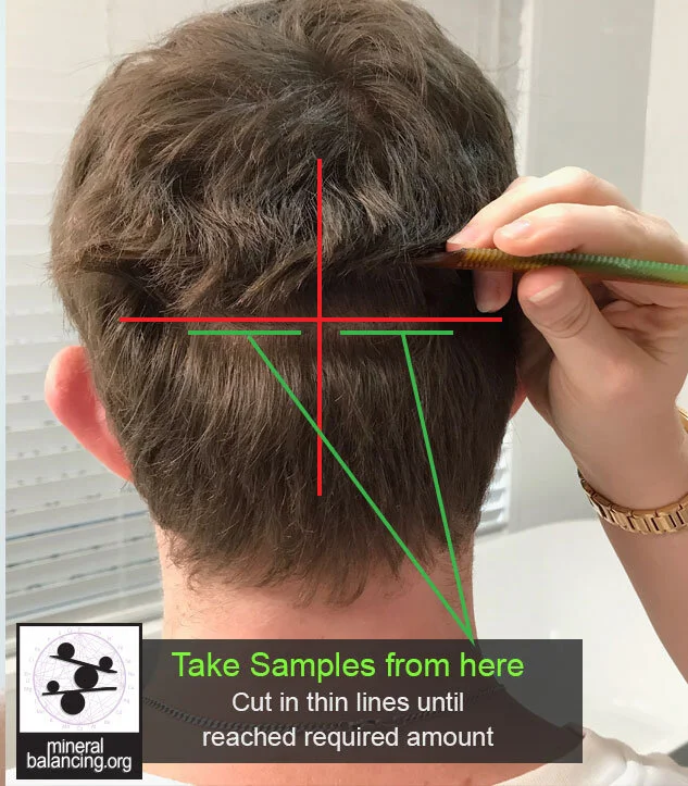 How to Cut a Hair Mineral Sample in 4 Easy Steps — Mineral Balancing