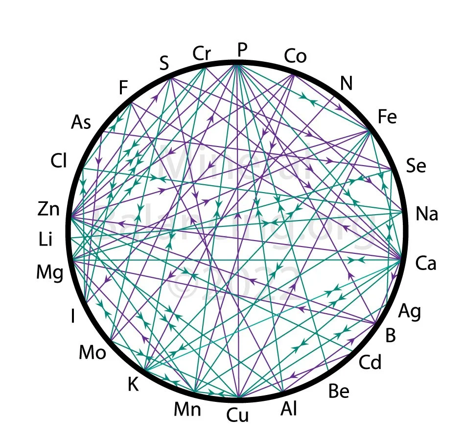 Mineral Balancing — John Bumpus Home