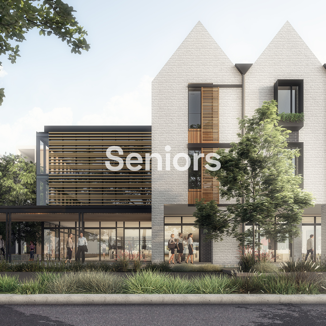 5 sector-senoirs.png