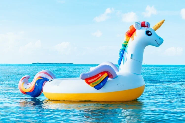Unicorn 2.jpeg