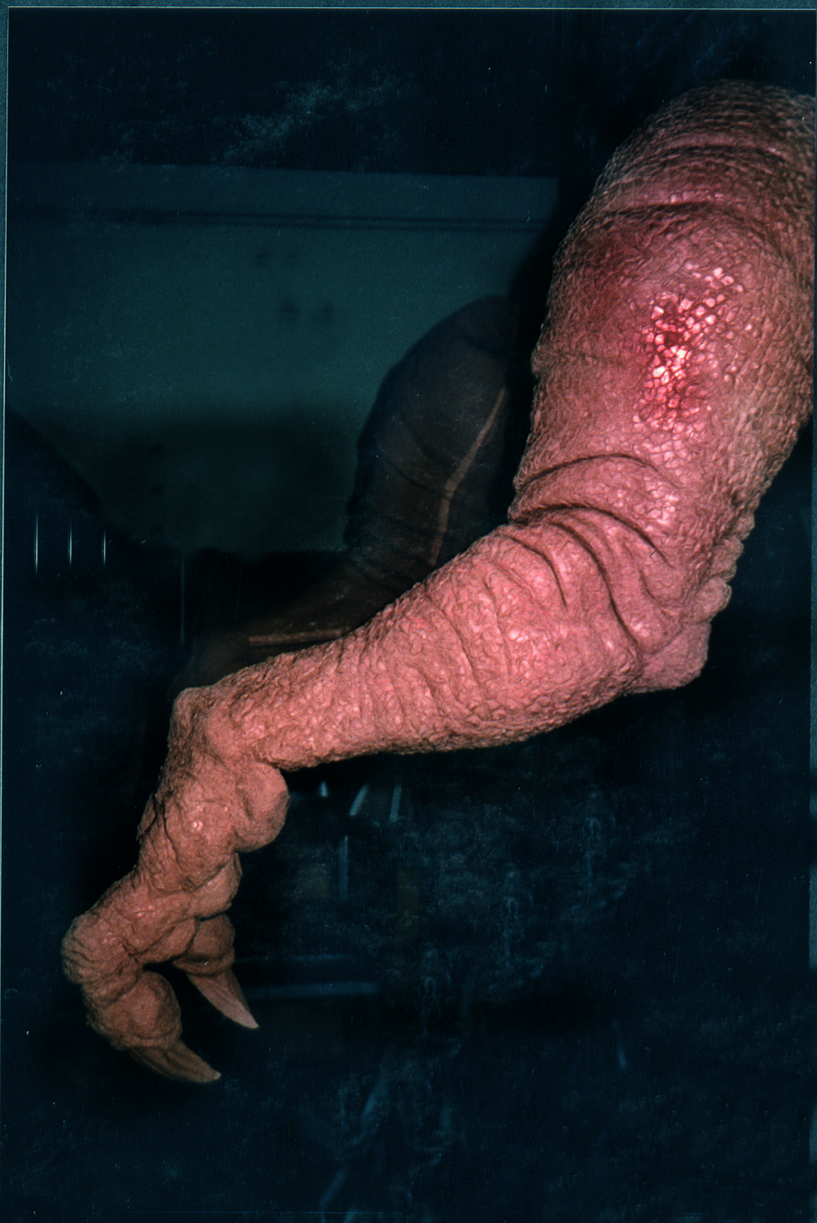 Dinamation_TRex Arms 1.JPG