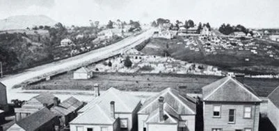 View_View south 1860s_Symonds Street Cemetery.jpg