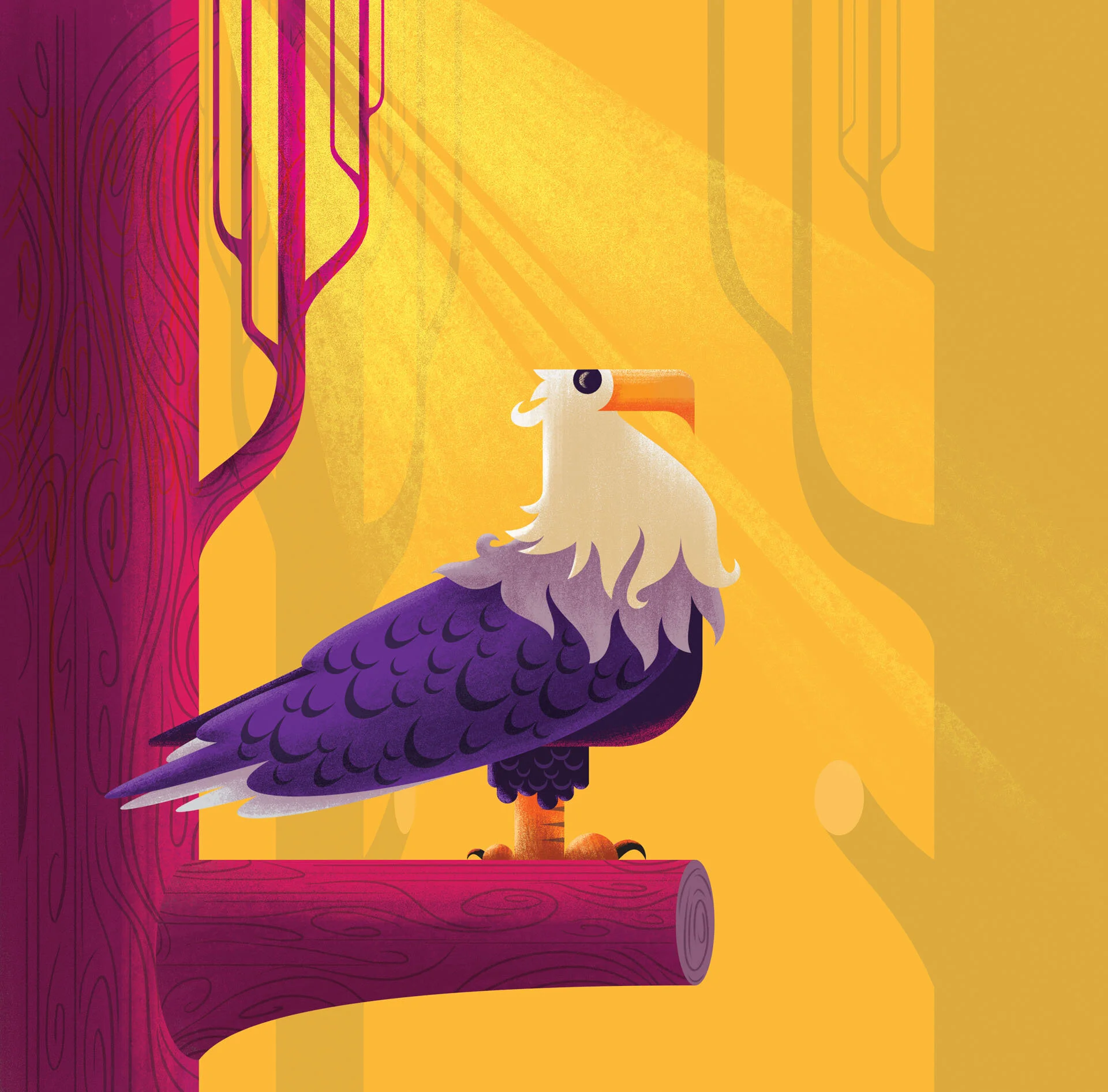 eagle.jpg