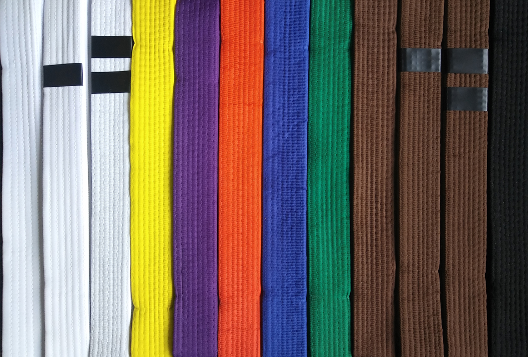 karate belts in order