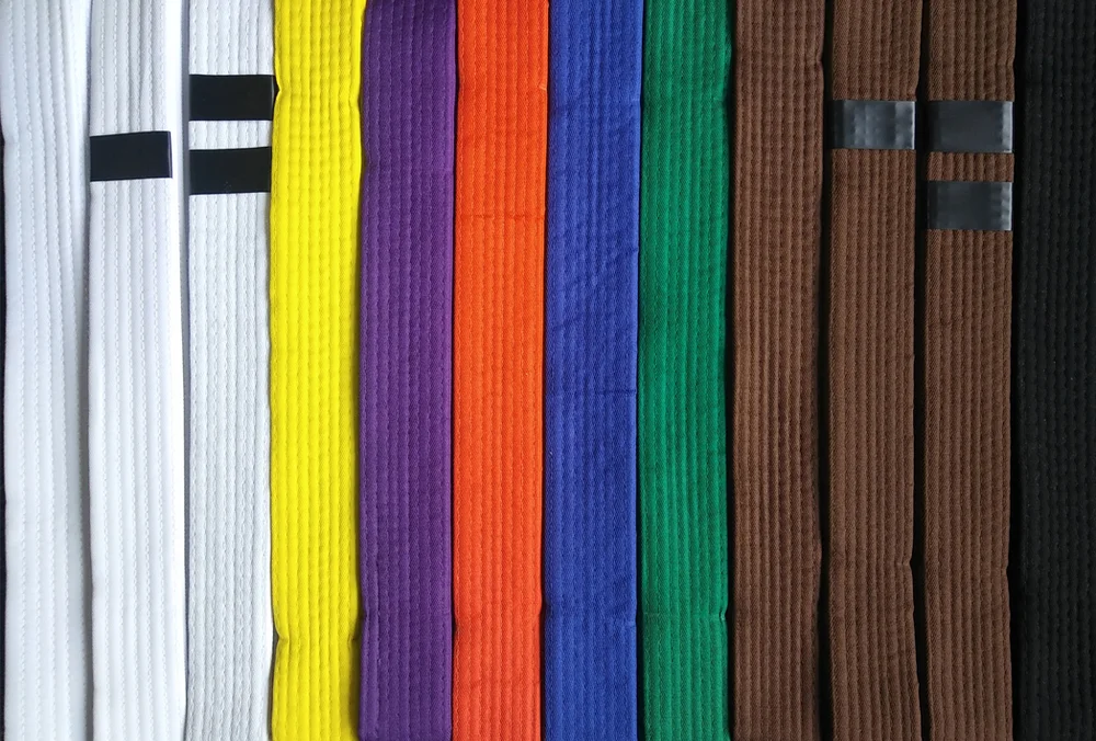 Belt Rank System — DAICHI ISSHINRYU KARATE