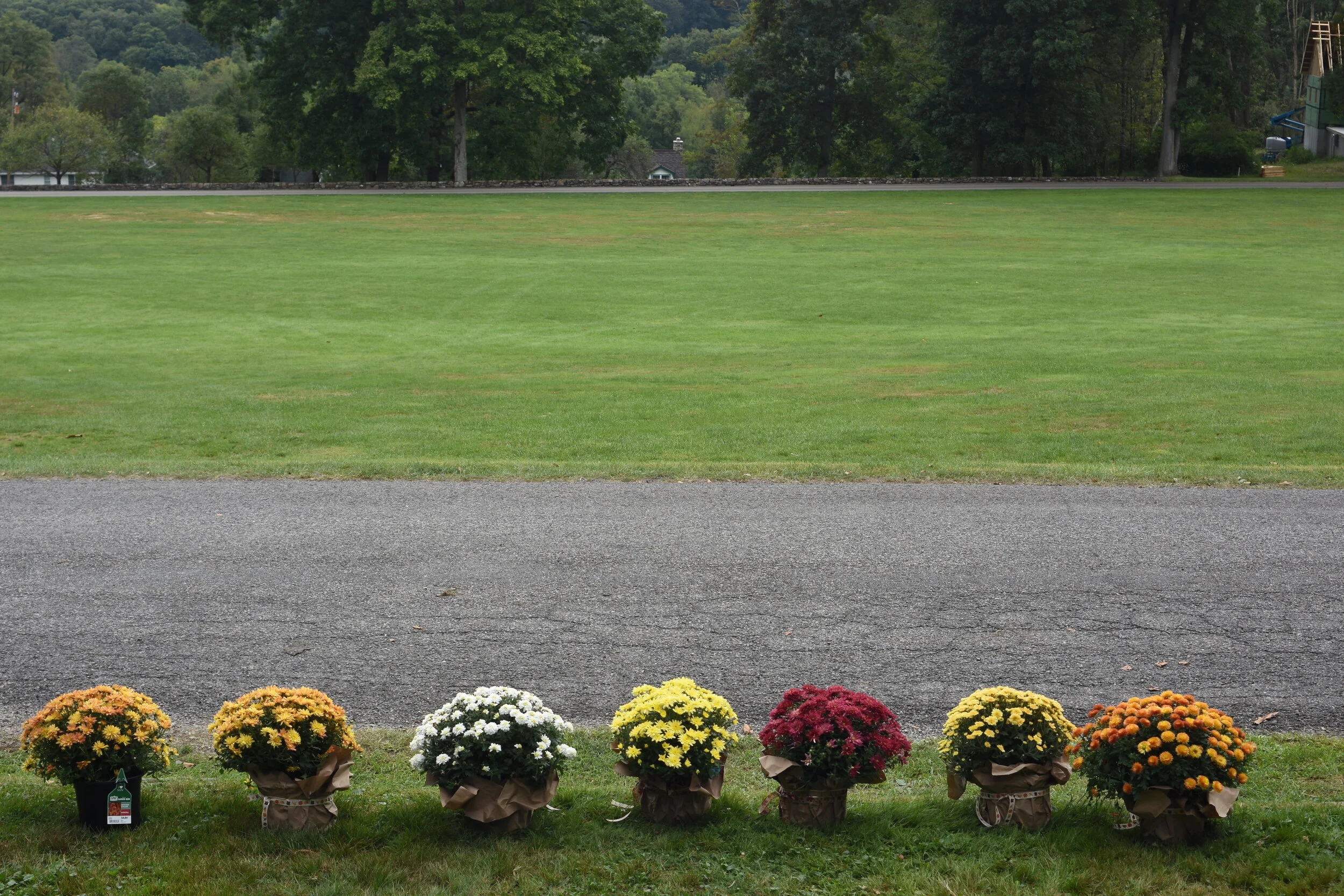 DSC_8669.JPG