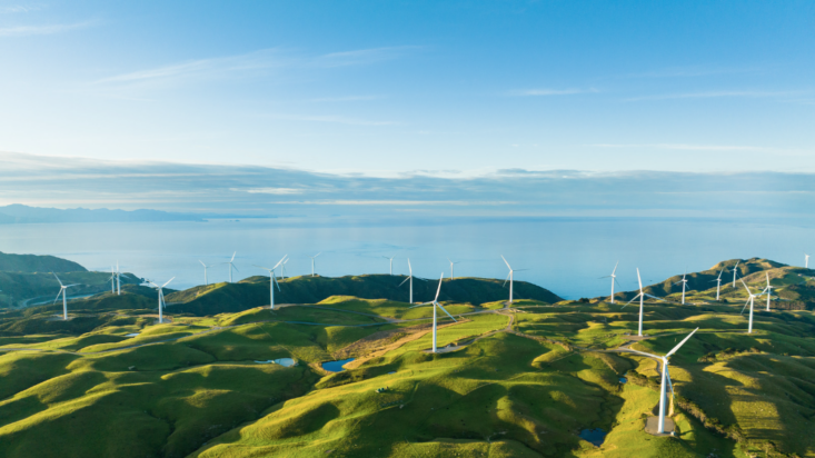 Energy transition thematic delivering niche opportunities for investors: Fortitude