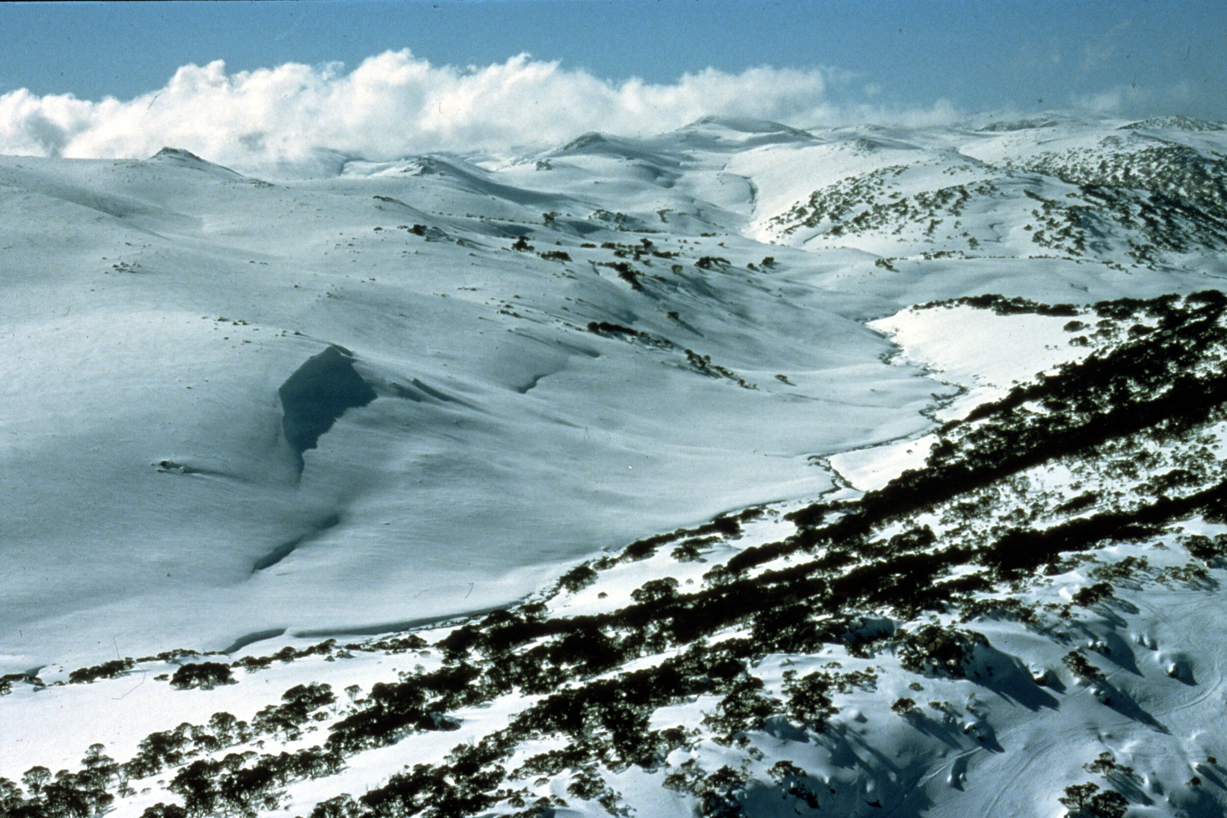 Australian Alps National Parks and Reserves, Victoria - Expert Advice and Opinion