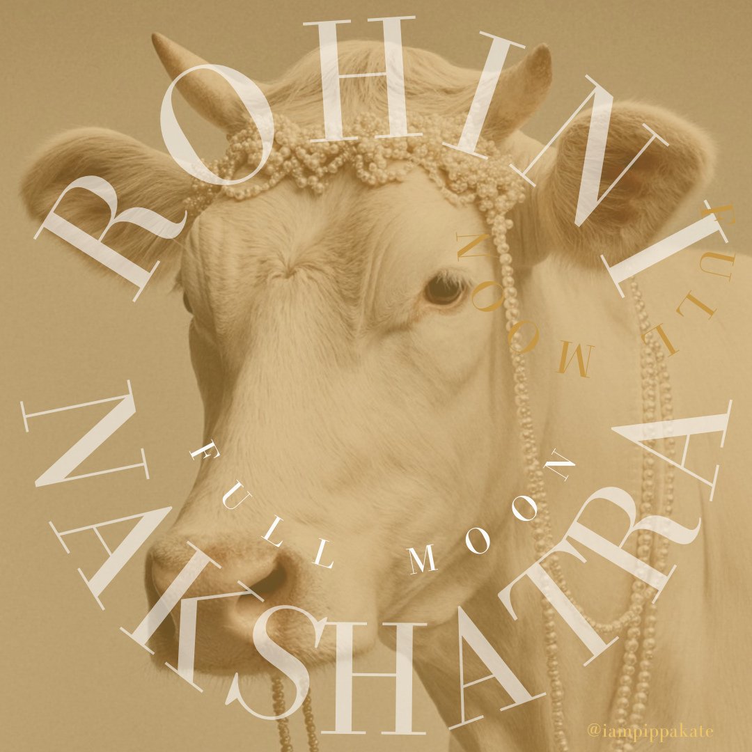 ROHINI FULL MOON (TAURUS)⁠
⁠
When: 4th - 5th of December⁠
⁠
In Sidereal astrology the Full Moon this week falls in its exaltation - Taurus - in a lunar mansion known as Rohini (which marks the Star Aldebaran - the eye of the bull). This is a Moon tha