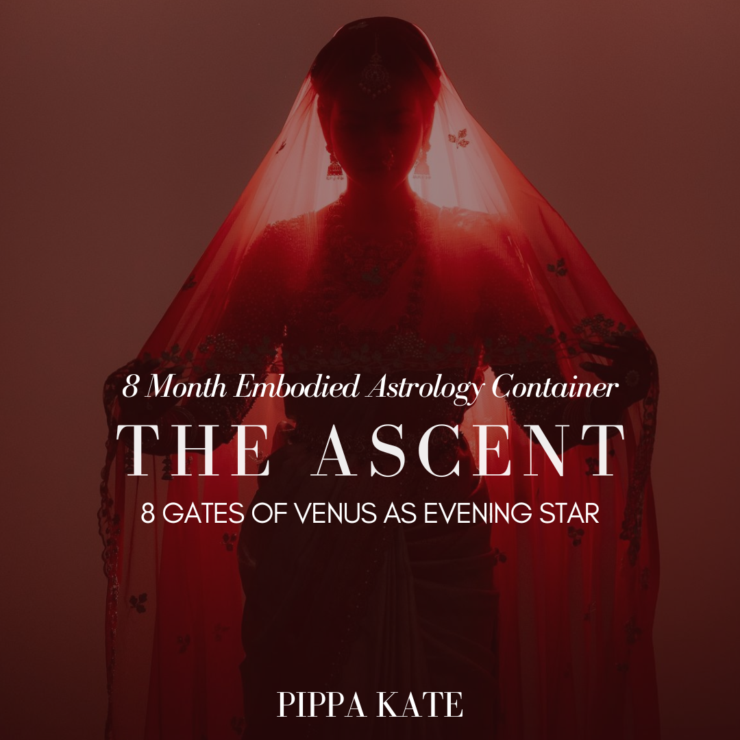 The Ascent: 8 Gates of Venus Embodied Astrology Intensive